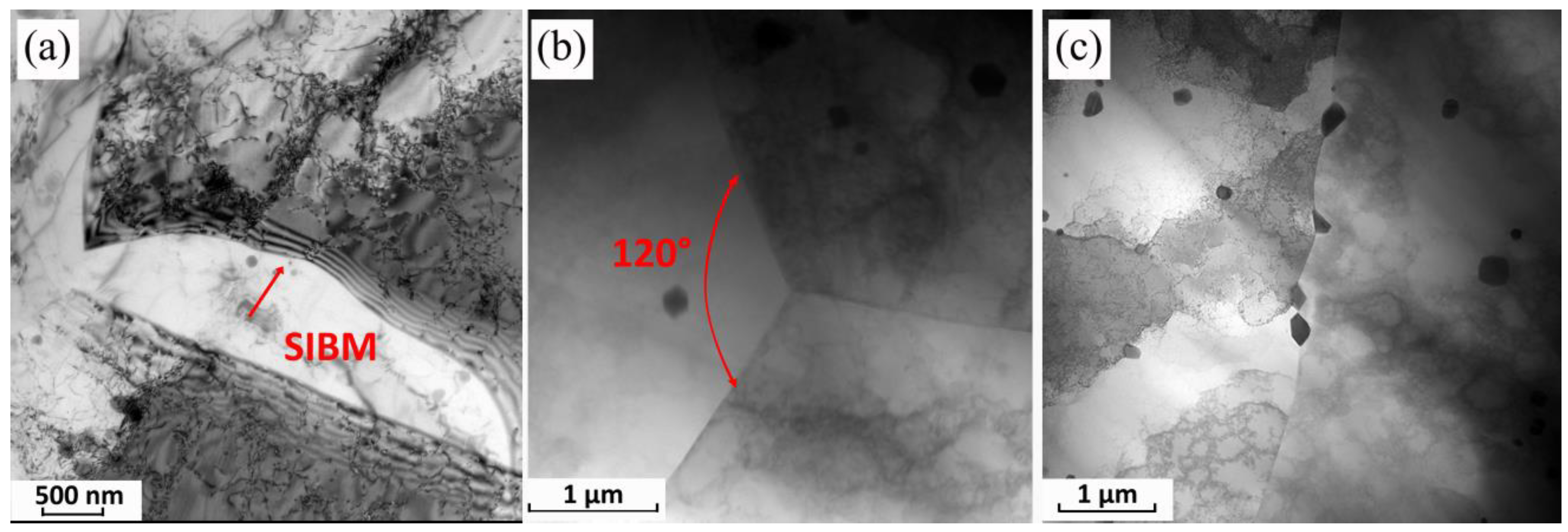 Crystals 12 01387 g013 Crystals 12 01387 g013