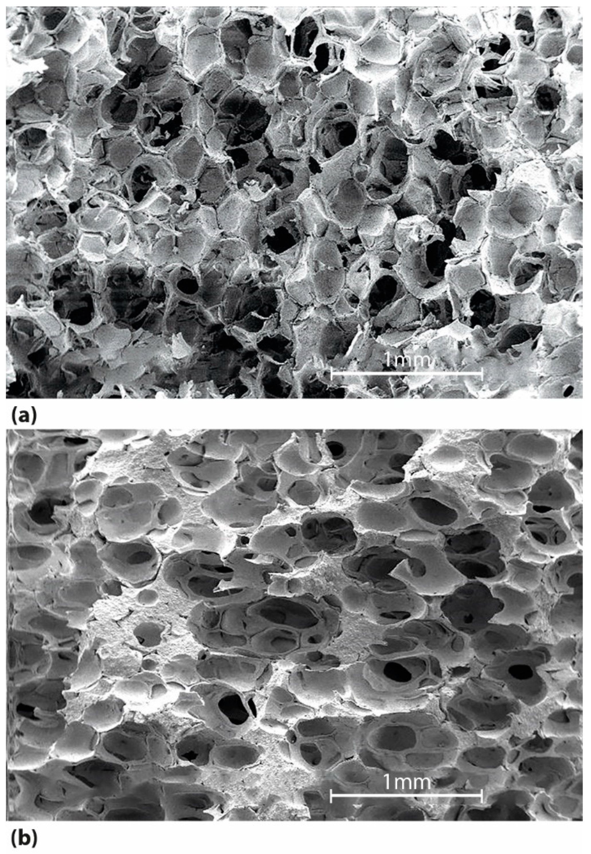 Crystals 12 01394 g005 Crystals 12 01394 g005