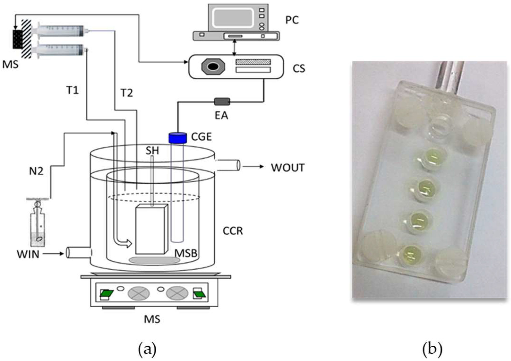 Crystals 12 01418 g001