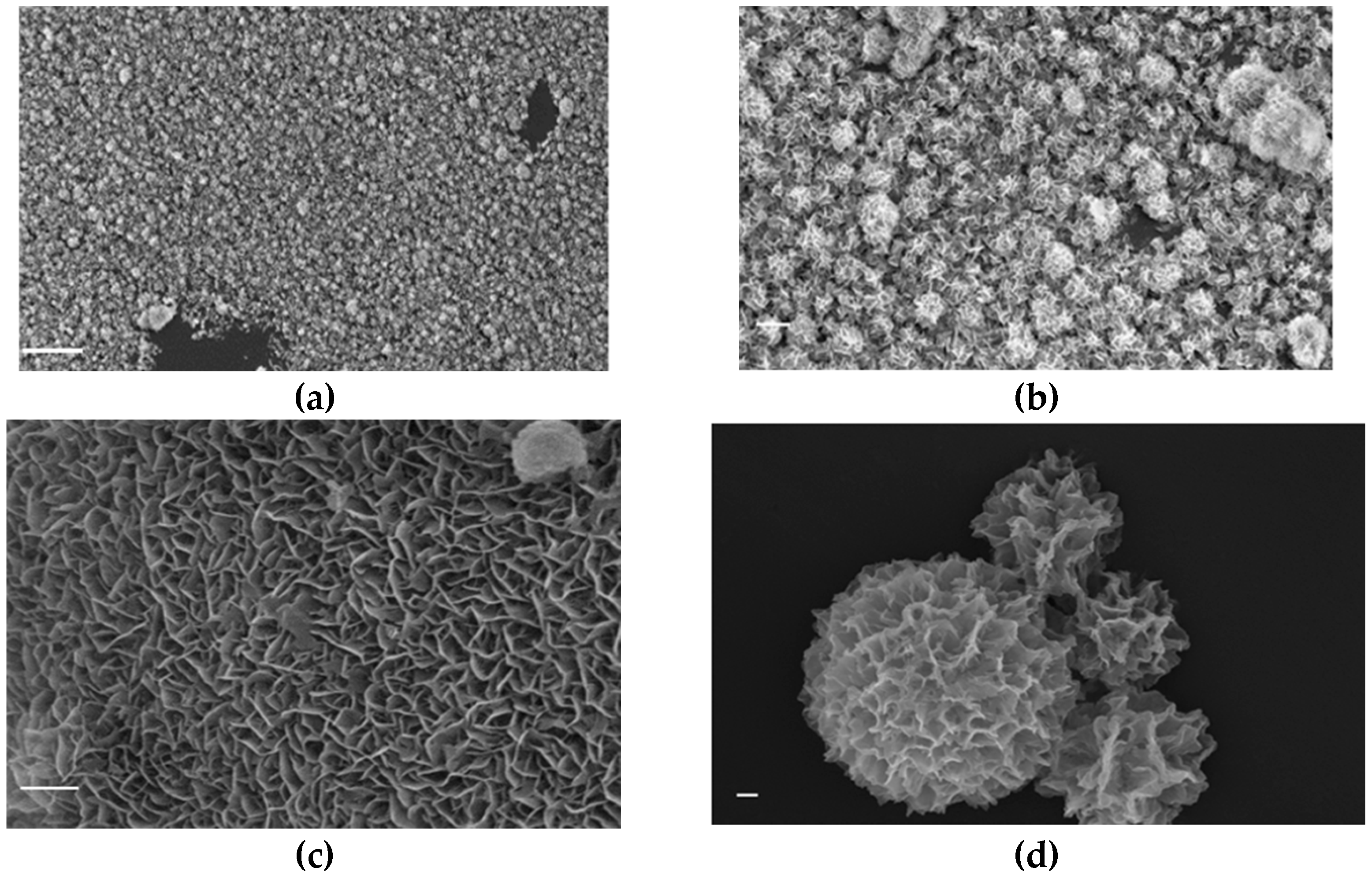 Crystals 12 01418 g007