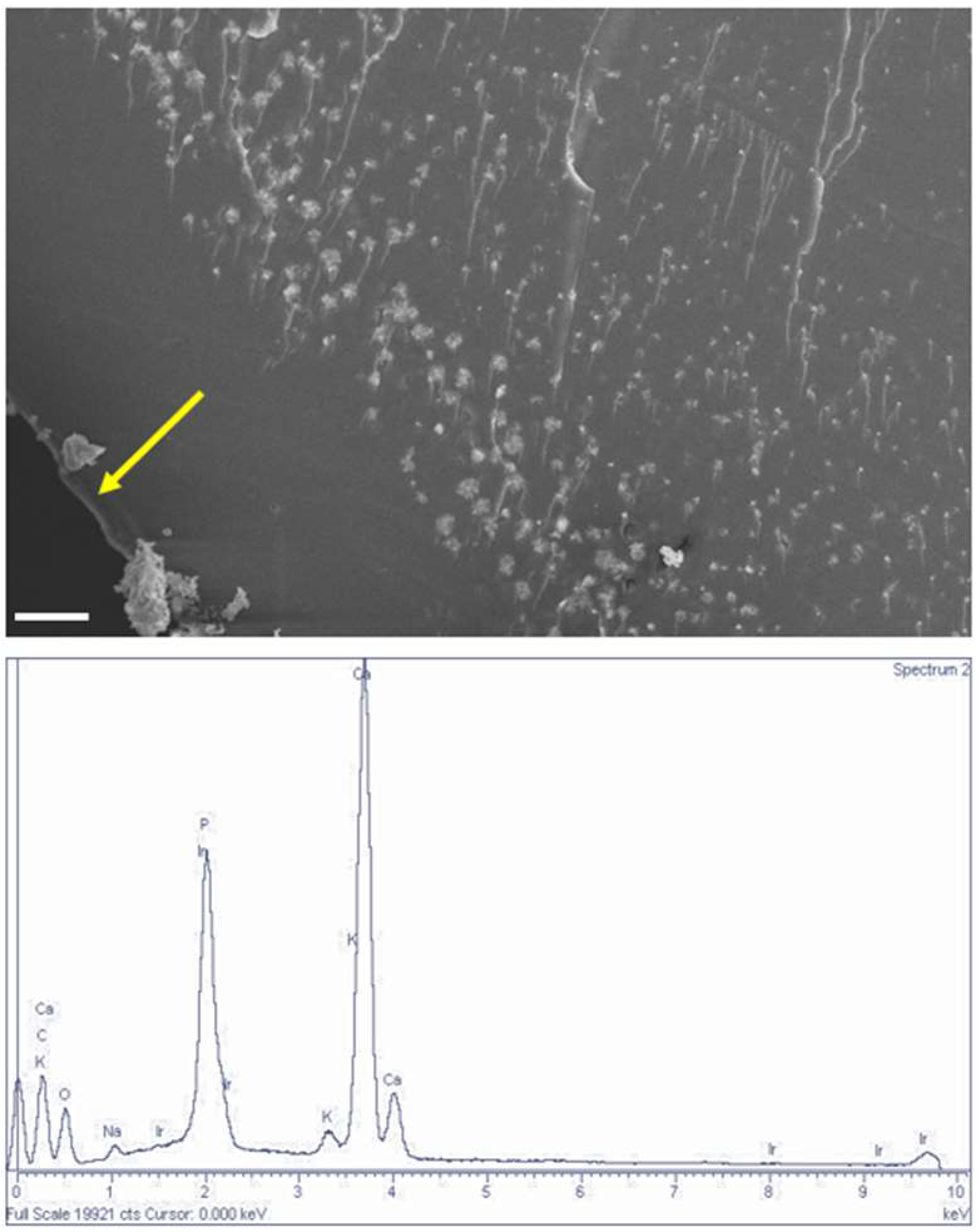 Crystals 12 01418 g010