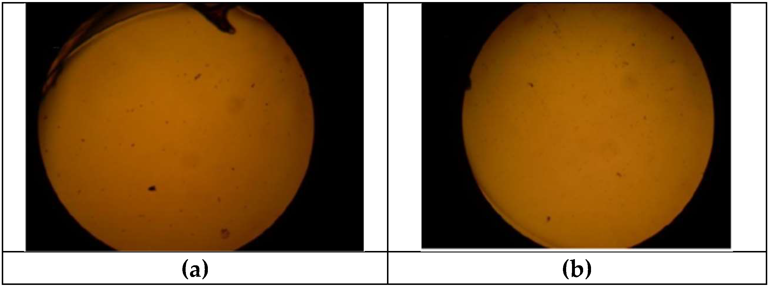 Crystals 12 01418 g011a