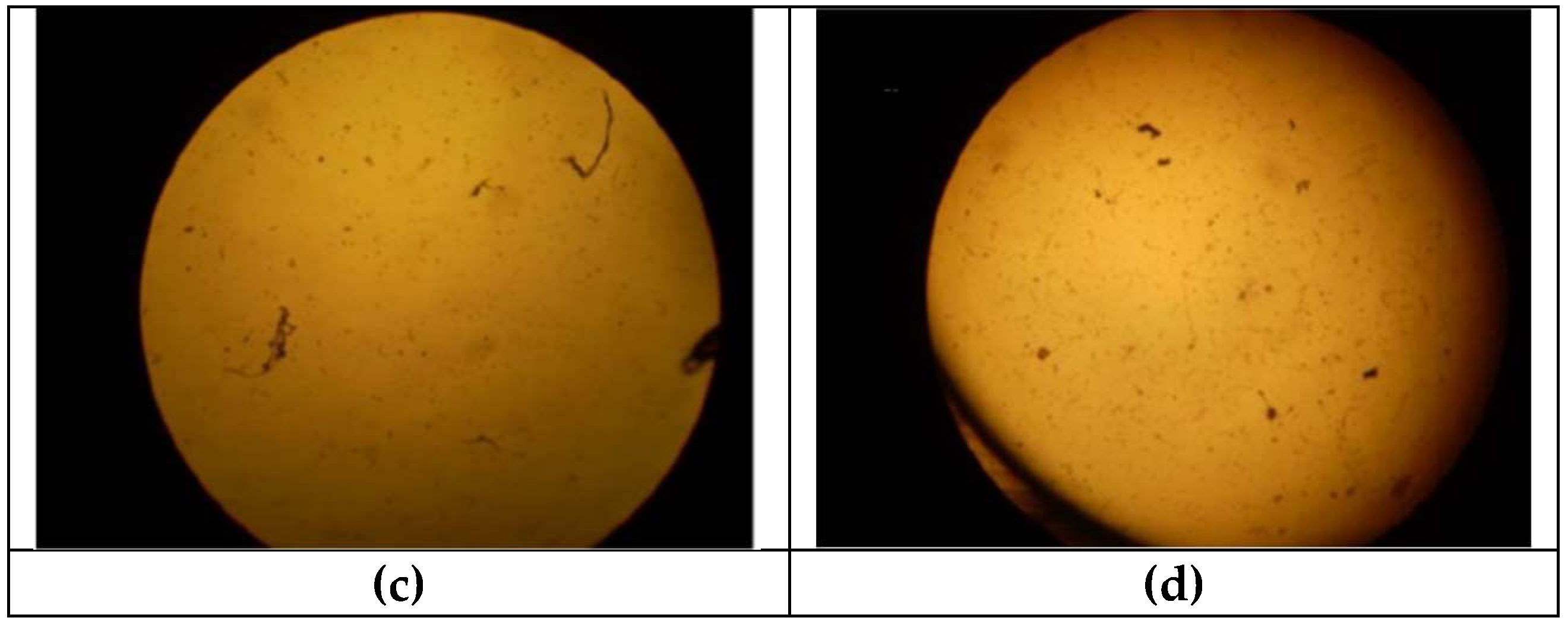 Crystals 12 01418 g011b