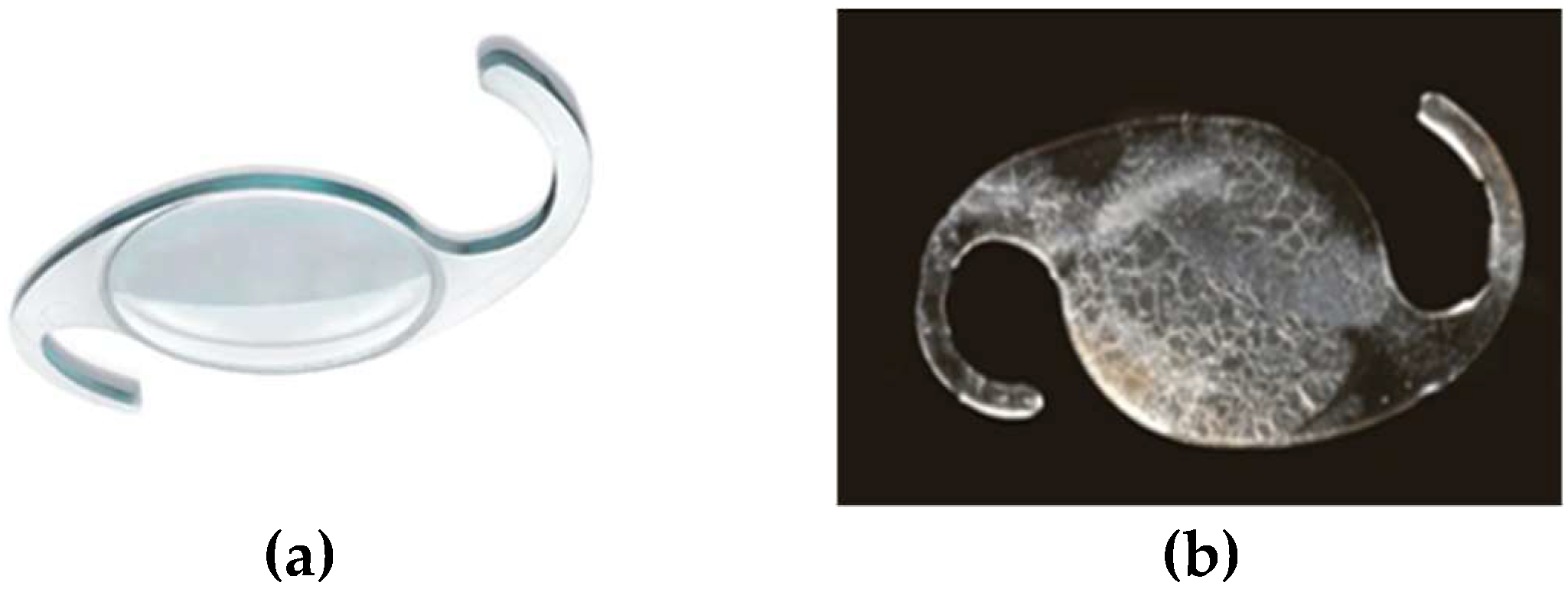 Crystals 12 01418 g013a