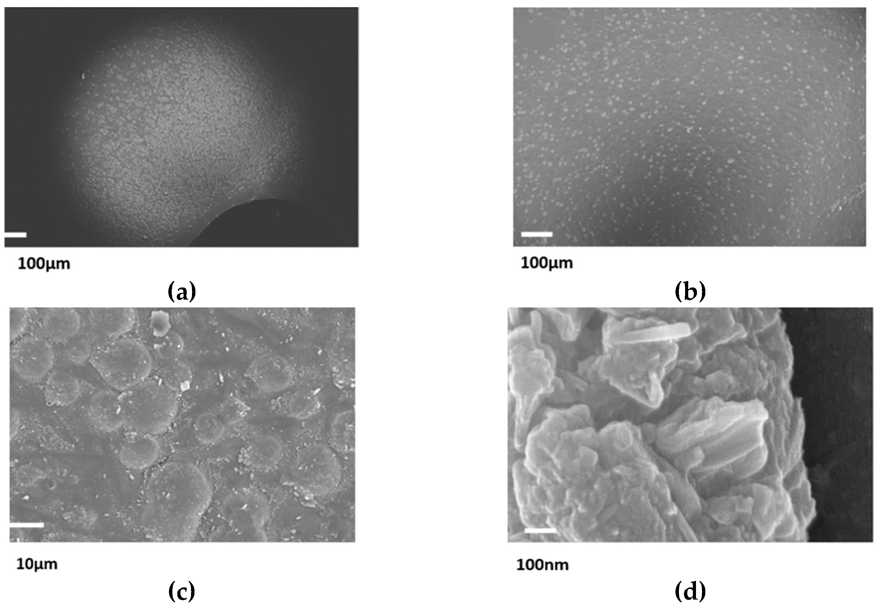 Crystals 12 01418 g014