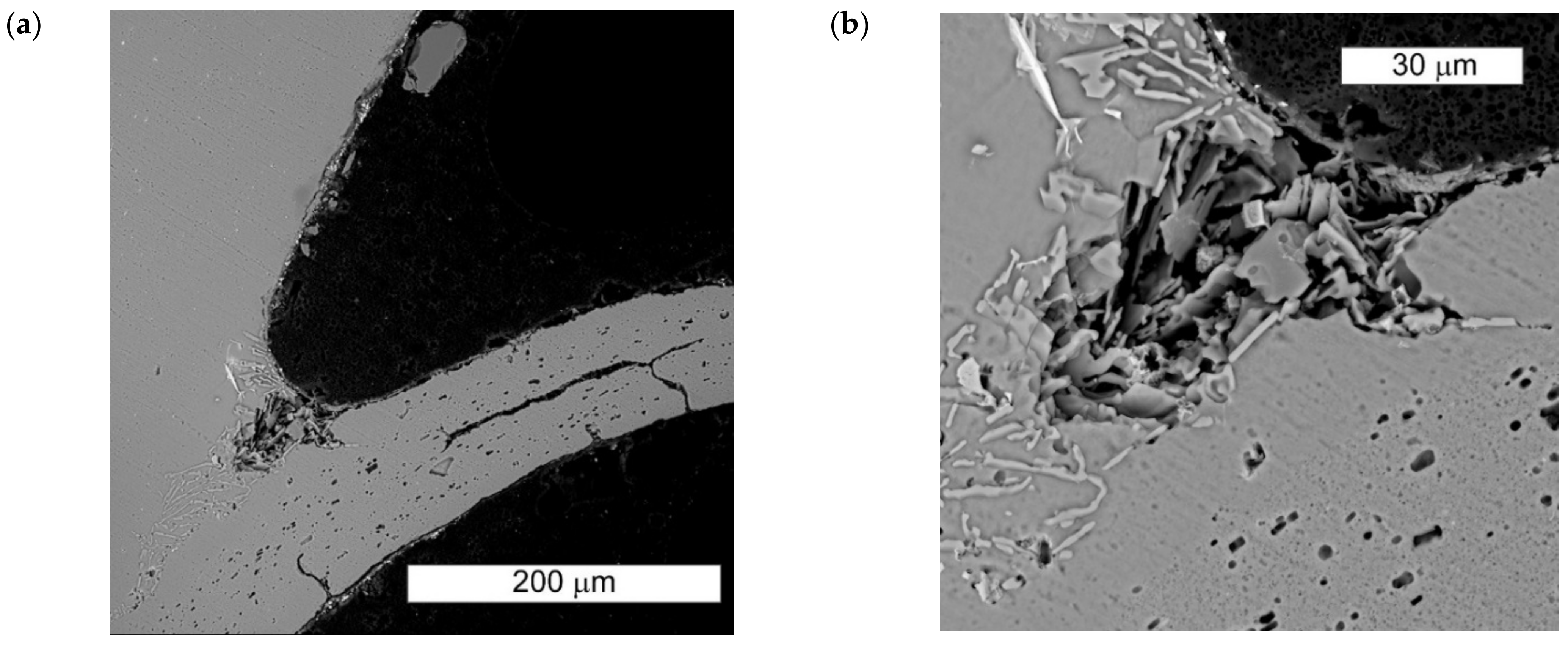 Crystals 12 01439 g005 Crystals 12 01439 g005