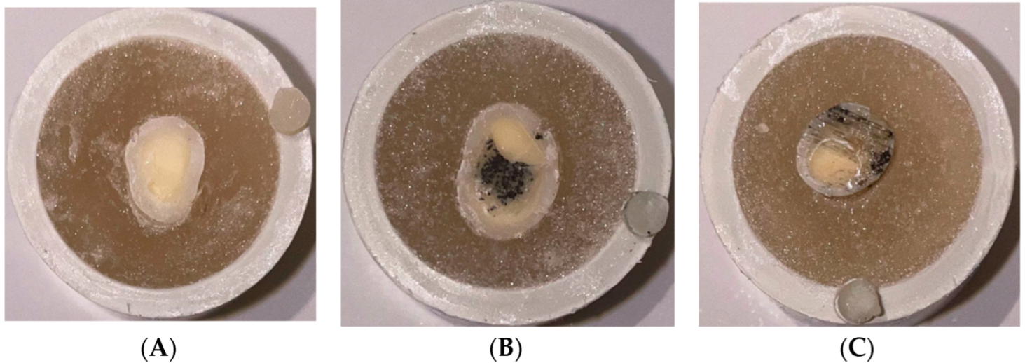 Crystals 12 01441 g004 Crystals 12 01441 g004