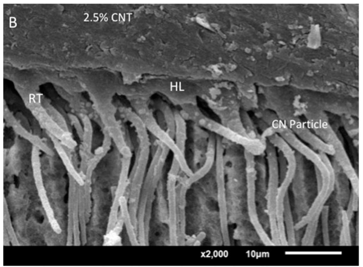 Crystals 12 01441 g005b Crystals 12 01441 g005b
