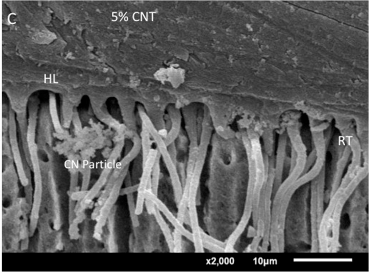 Crystals 12 01441 g005c Crystals 12 01441 g005c