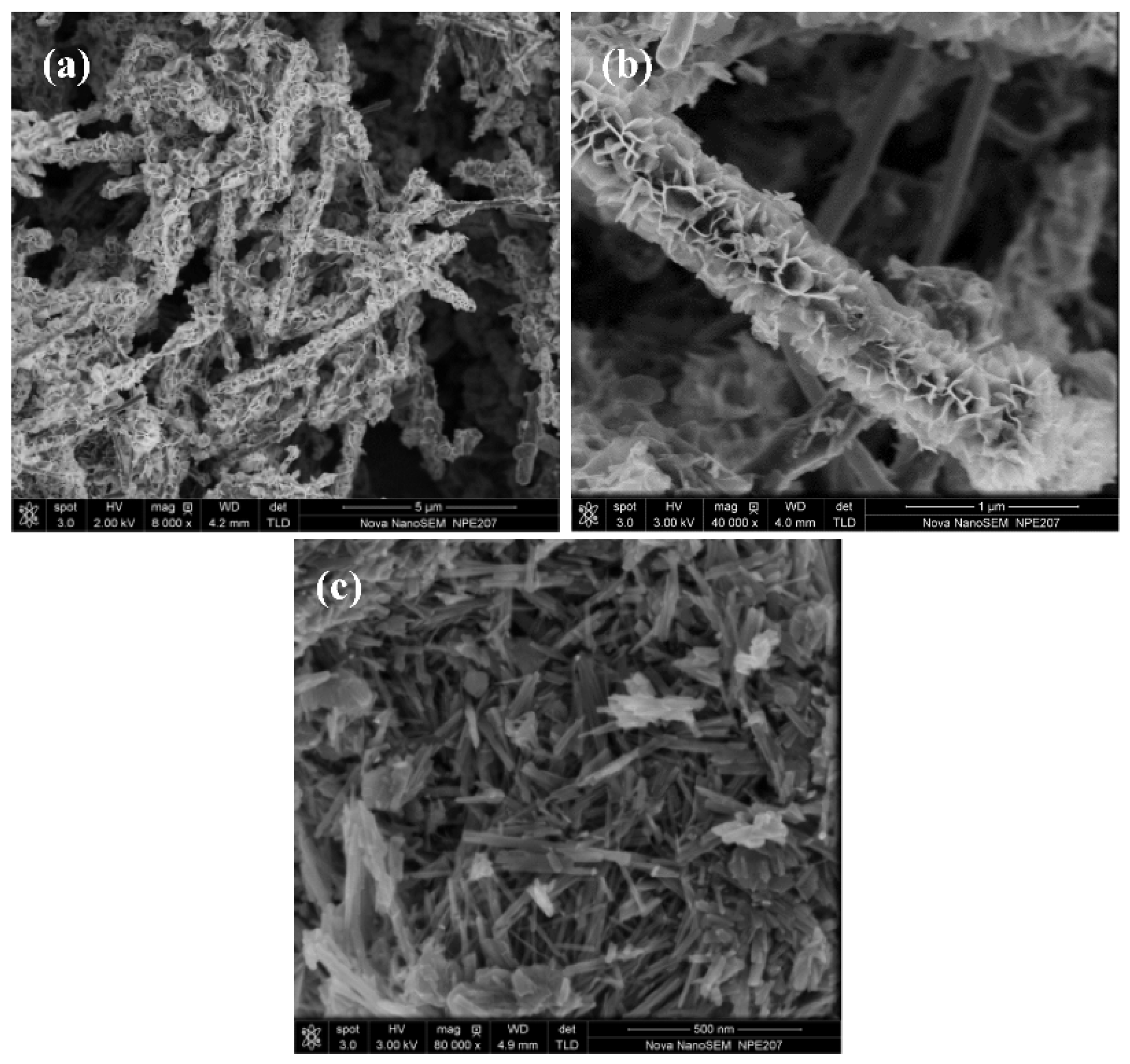 Crystals 12 01444 g001 Crystals 12 01444 g001