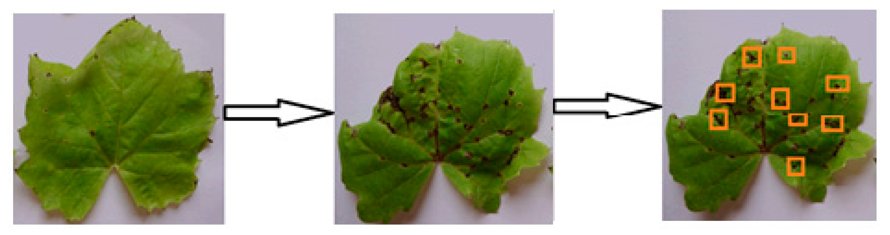 Crystals 12 01450 g004