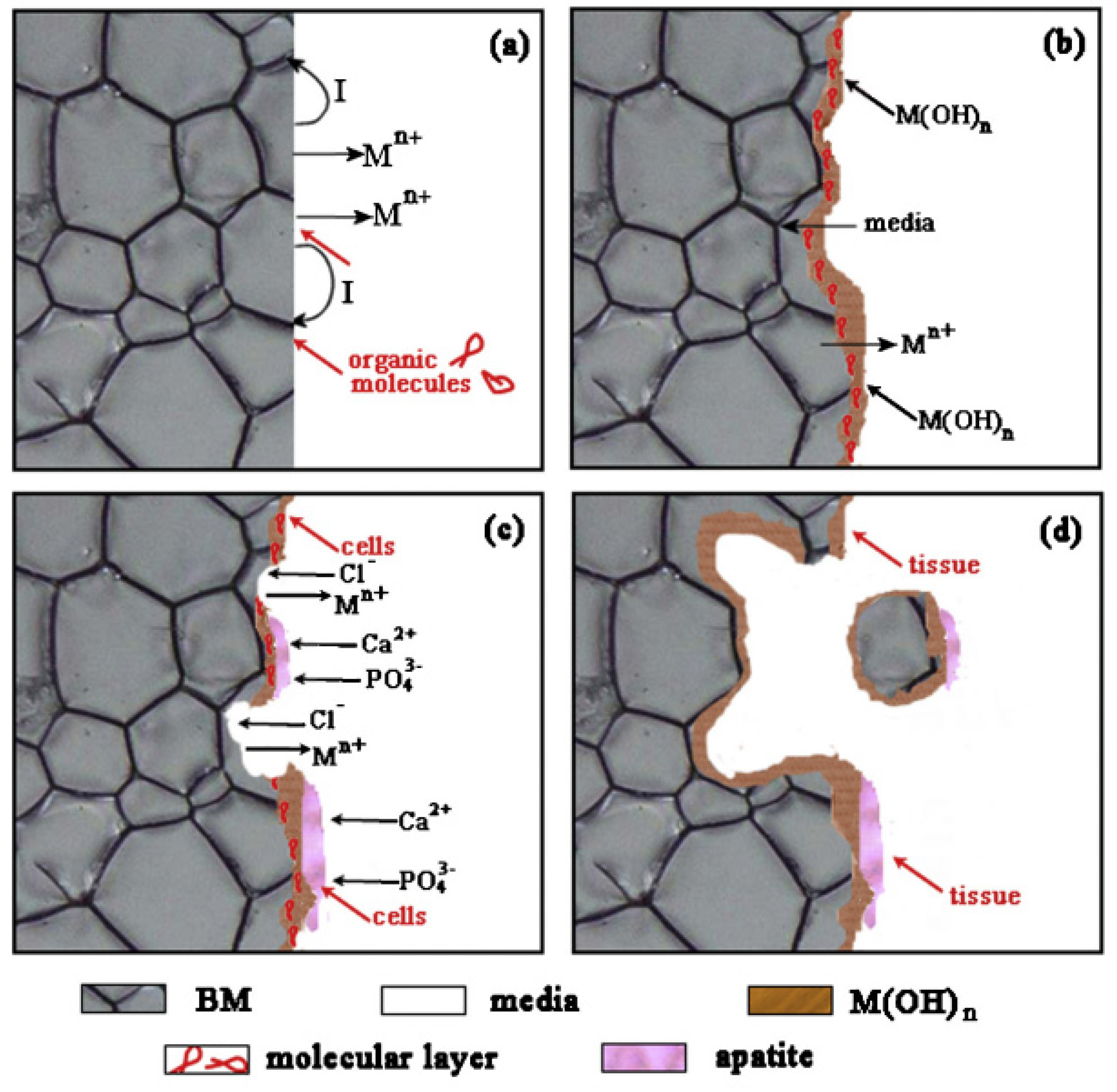 Crystals 12 01468 g008