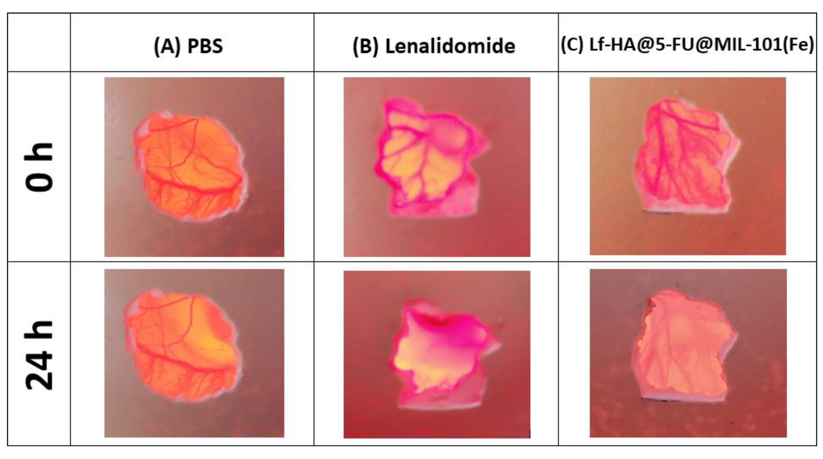 Crystals 12 01484 g010
