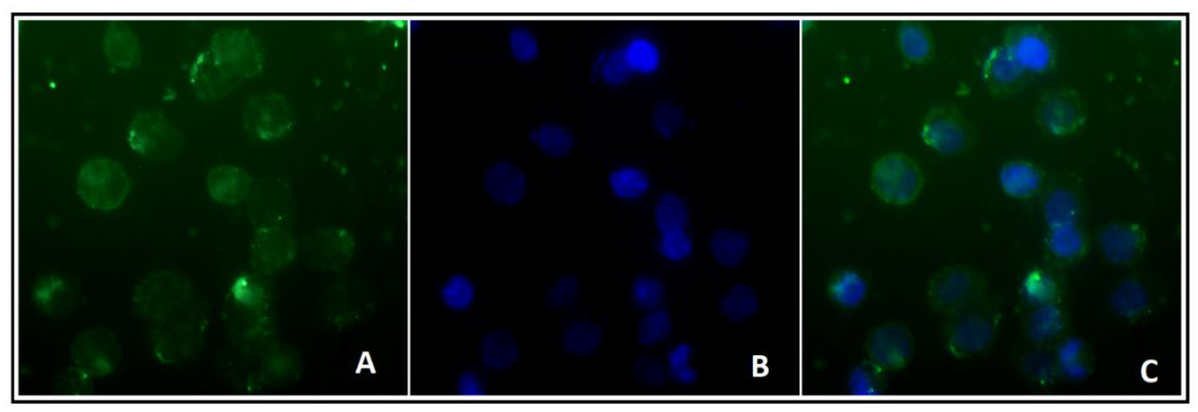 Crystals 12 01484 g011