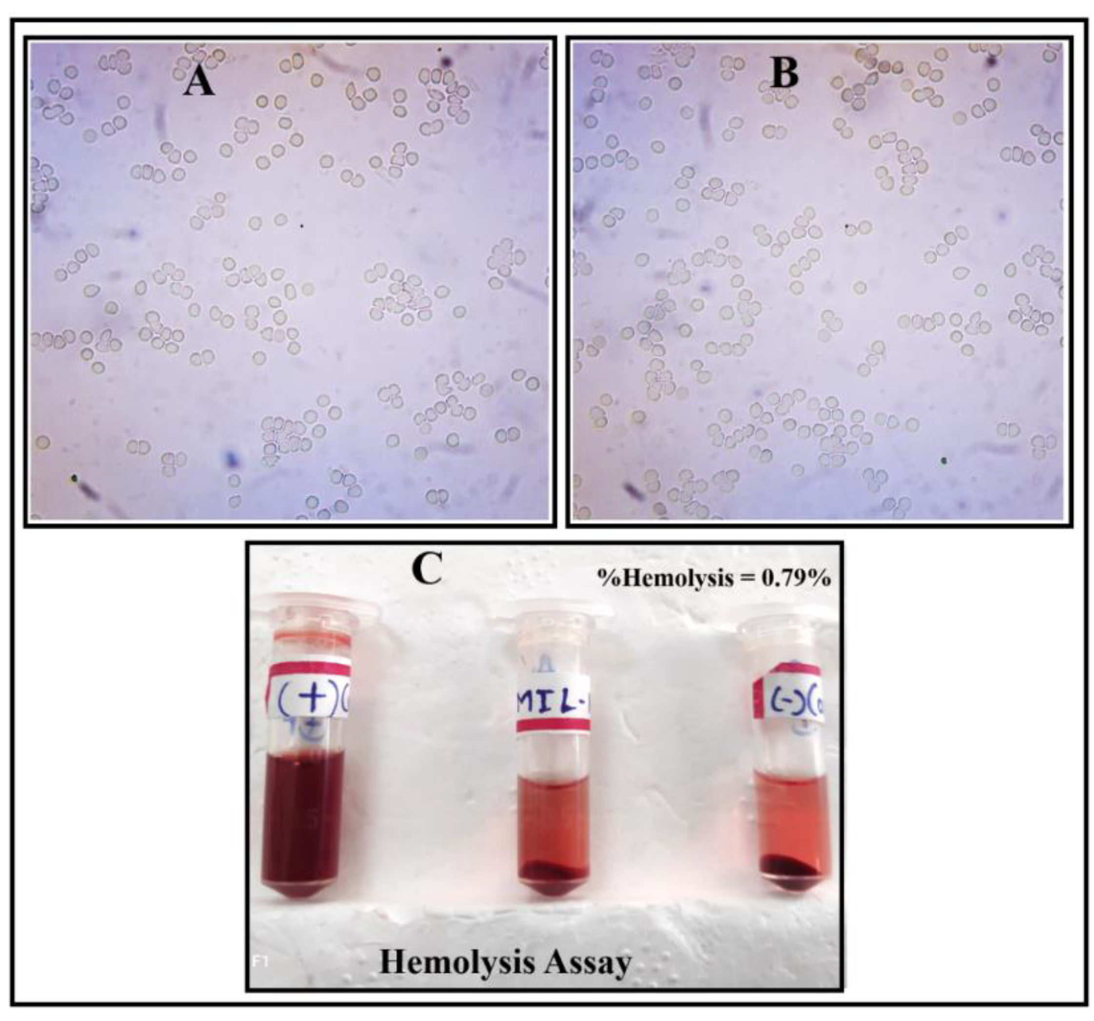 Crystals 12 01484 g014