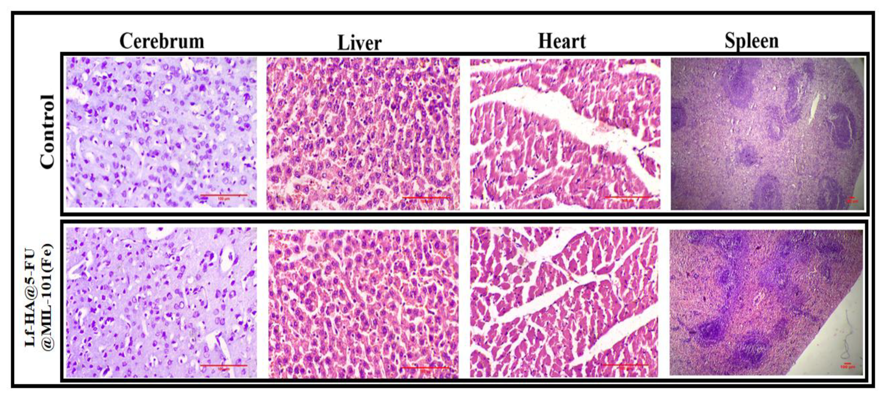Crystals 12 01484 g015
