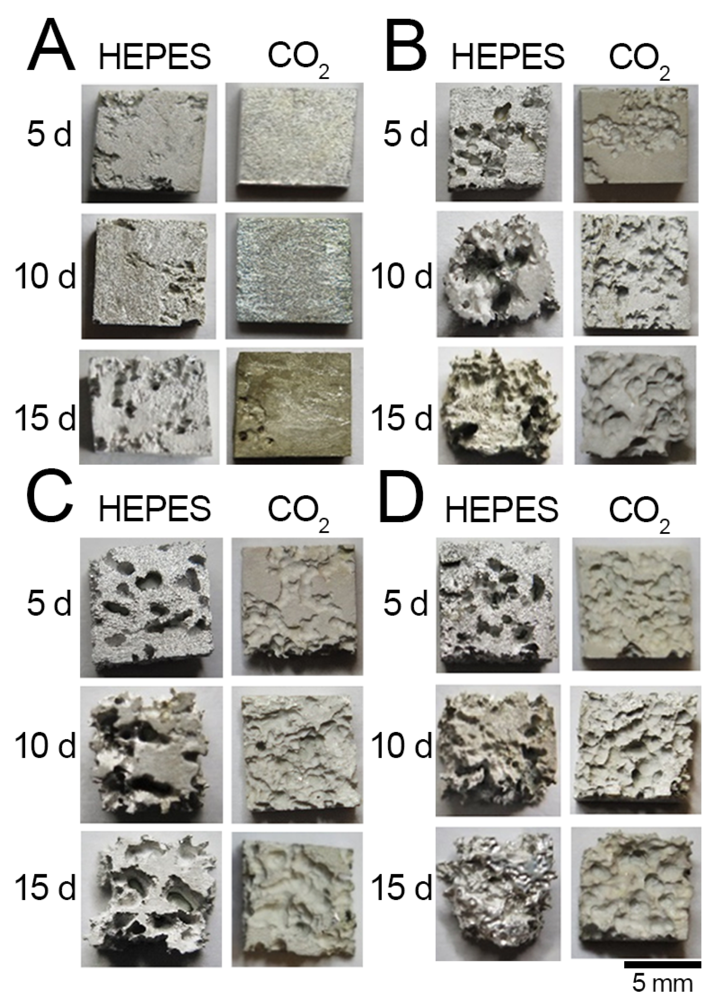 Crystals 12 01491 g003 Crystals 12 01491 g003