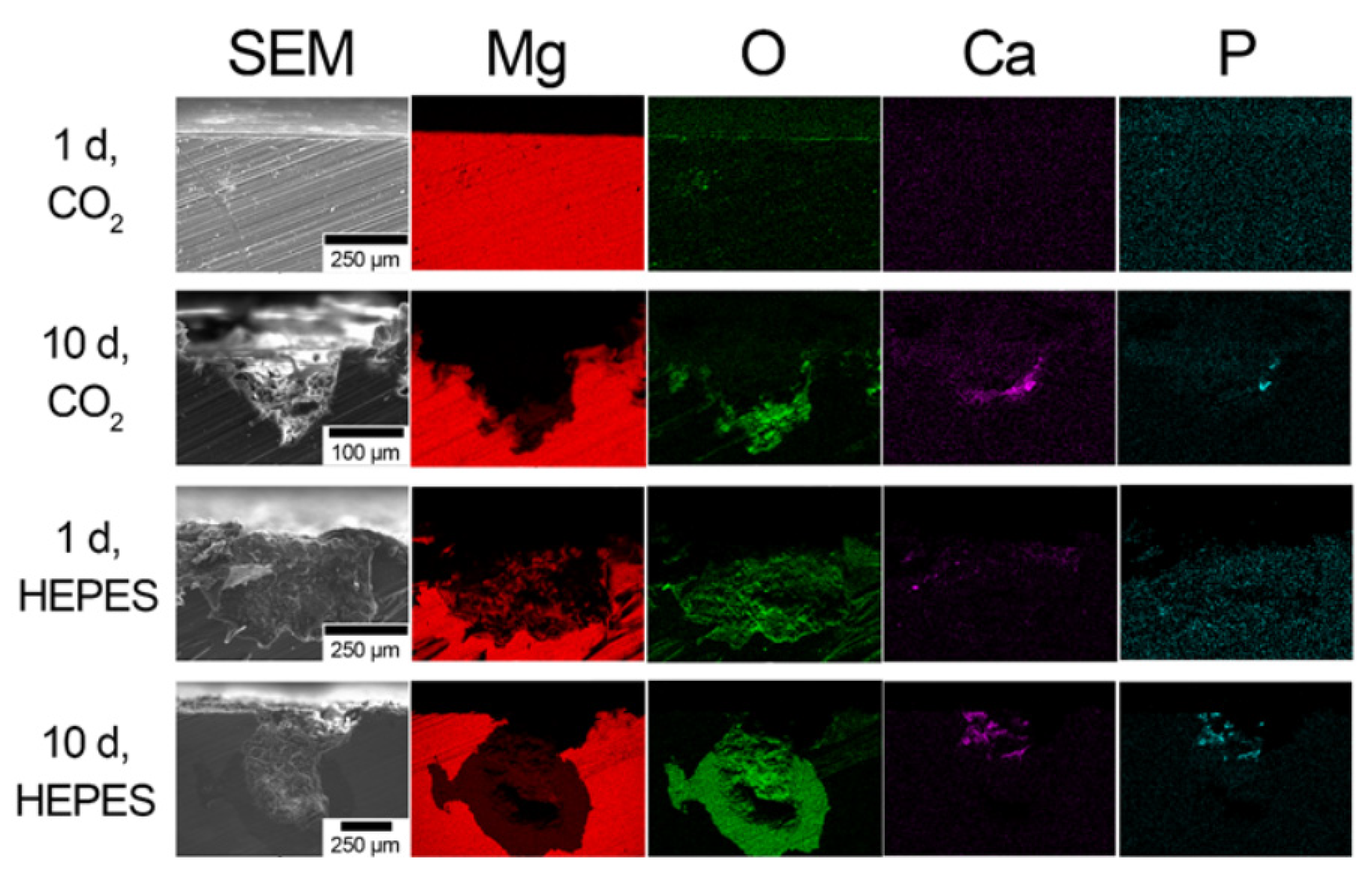 Crystals 12 01491 g005 Crystals 12 01491 g005