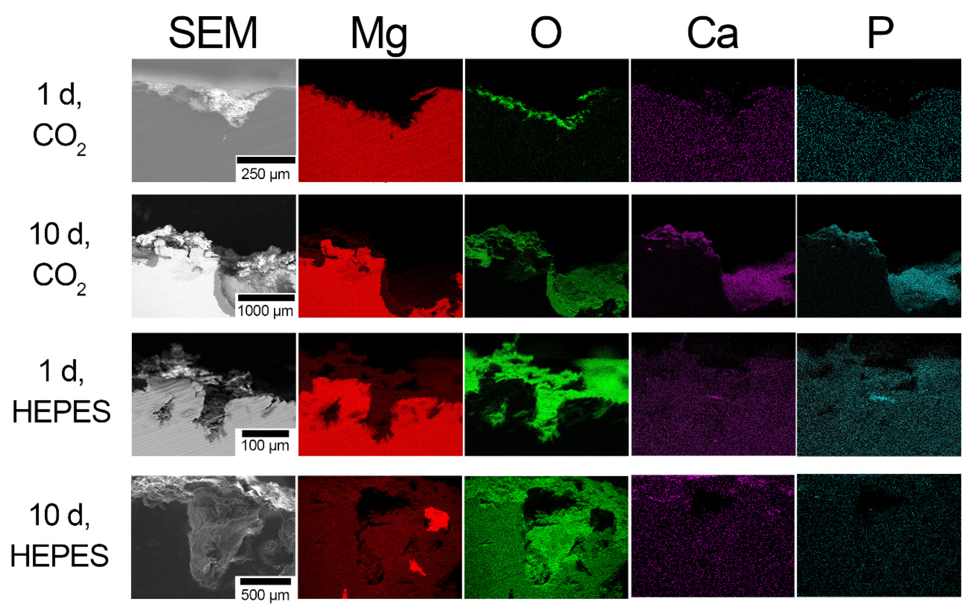 Crystals 12 01491 g006 Crystals 12 01491 g006