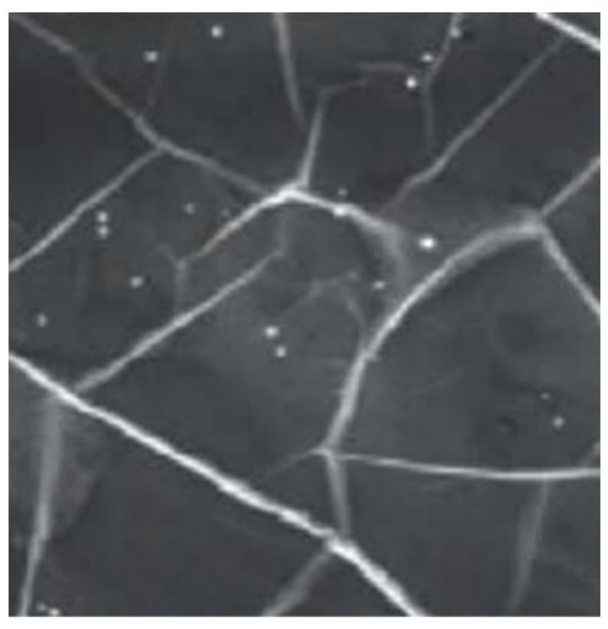 Crystals 12 01526 g005 Crystals 12 01526 g005