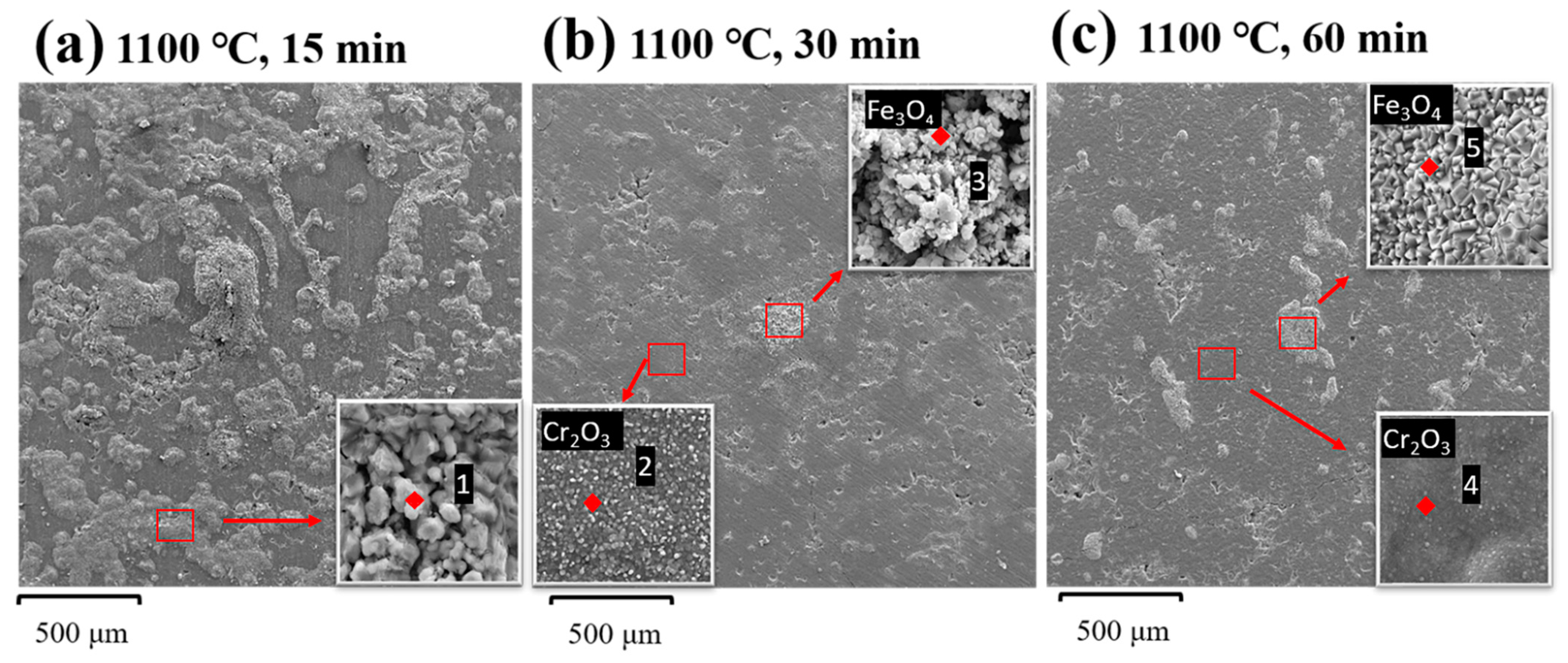 Crystals 12 01529 g005 Crystals 12 01529 g005