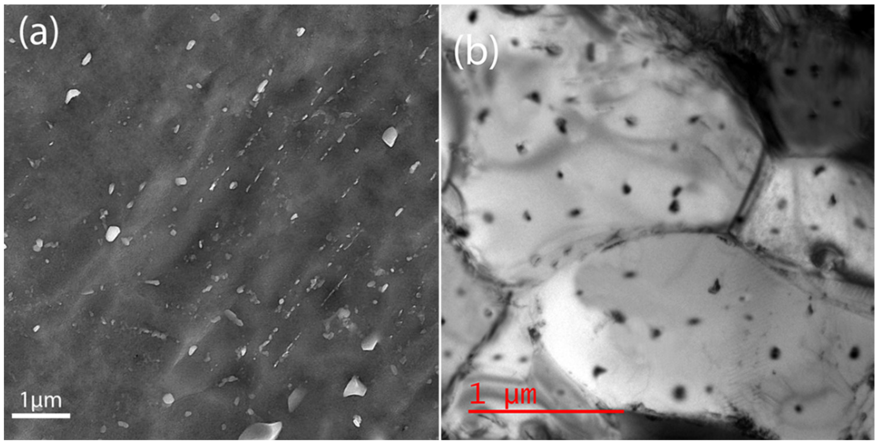 Crystals 12 01535 g004 Crystals 12 01535 g004