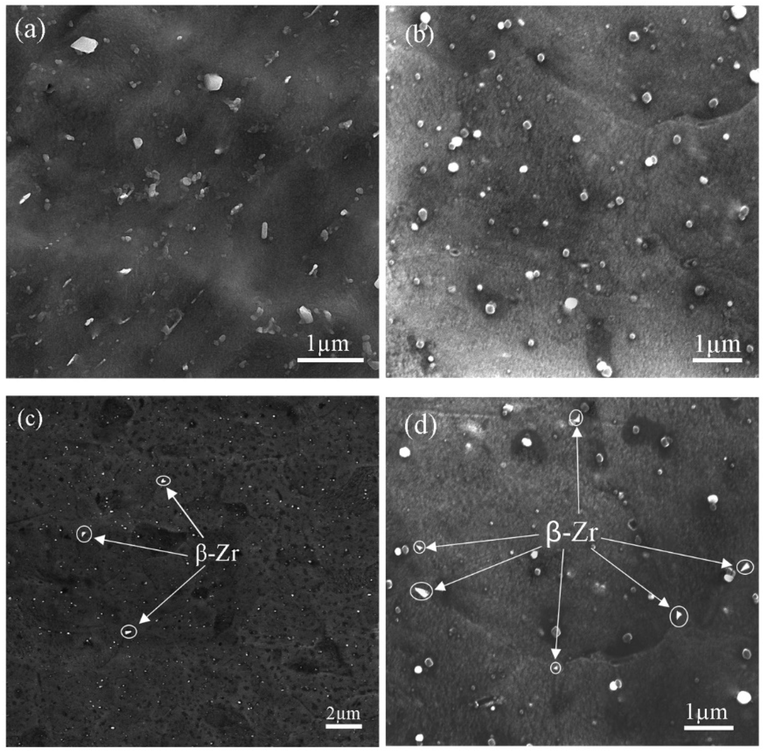 Crystals 12 01535 g005 Crystals 12 01535 g005