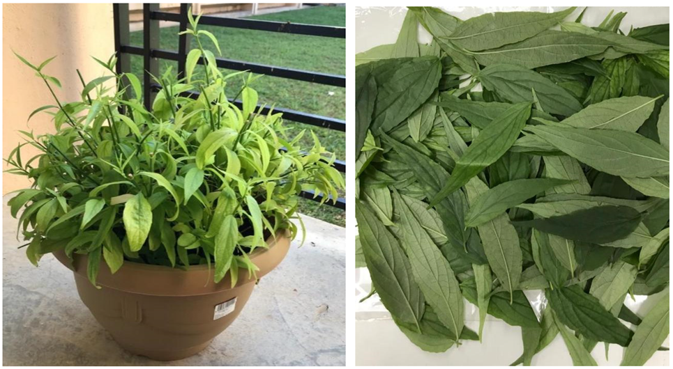 Crystals 12 01539 g001 Crystals 12 01539 g001