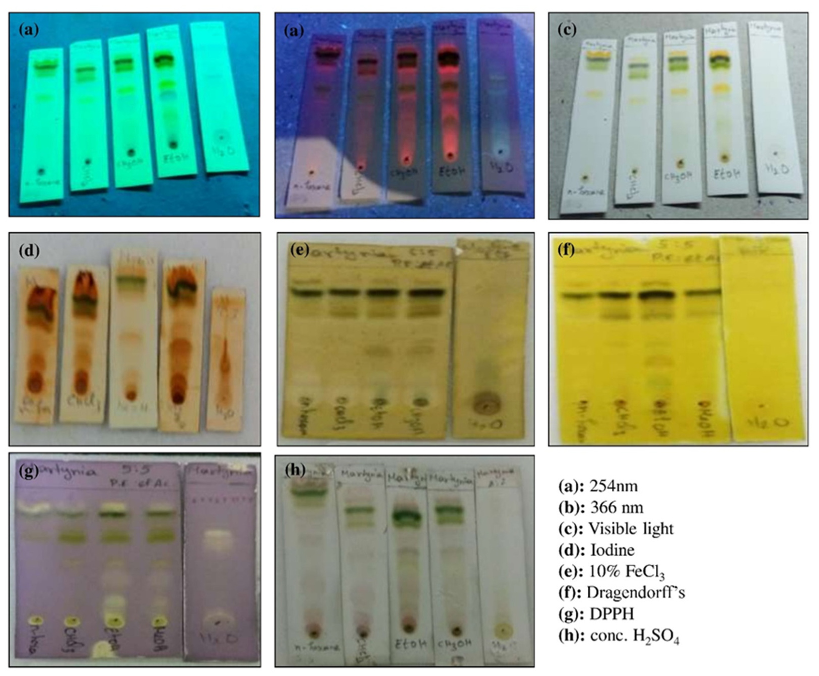 Crystals 12 01550 g002