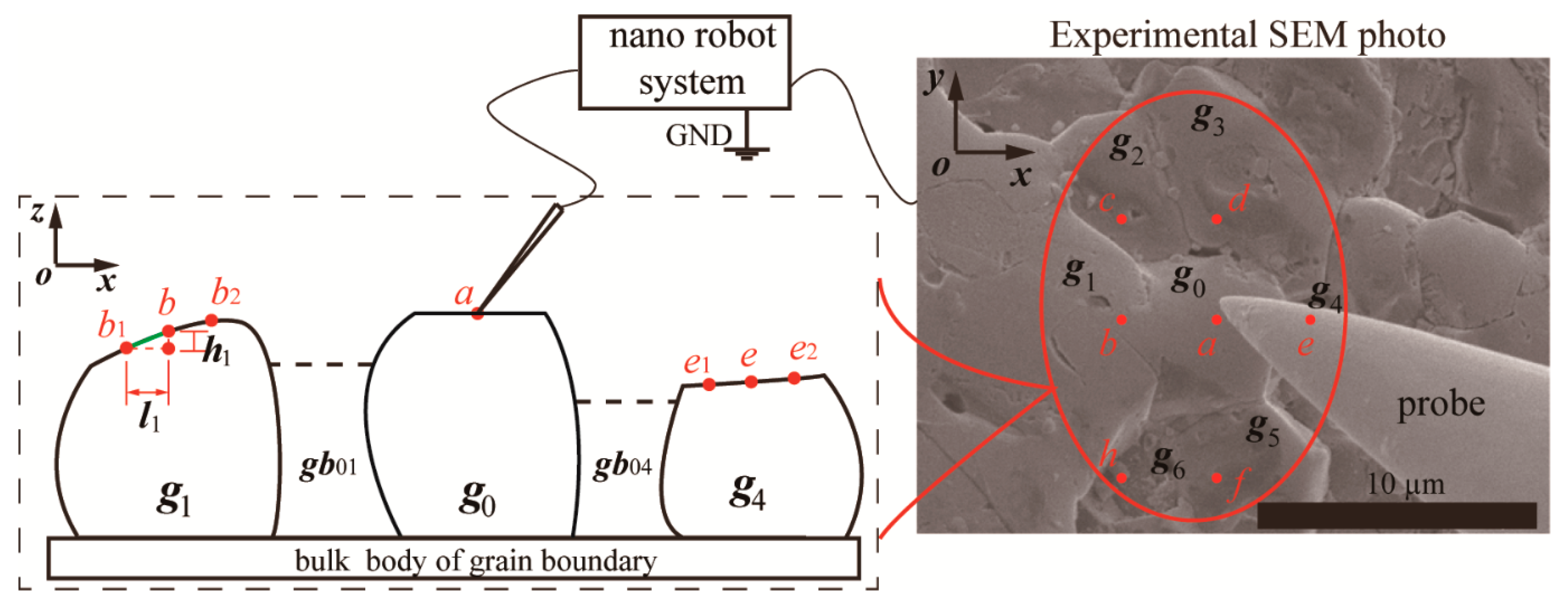 Crystals 12 01558 g001 550