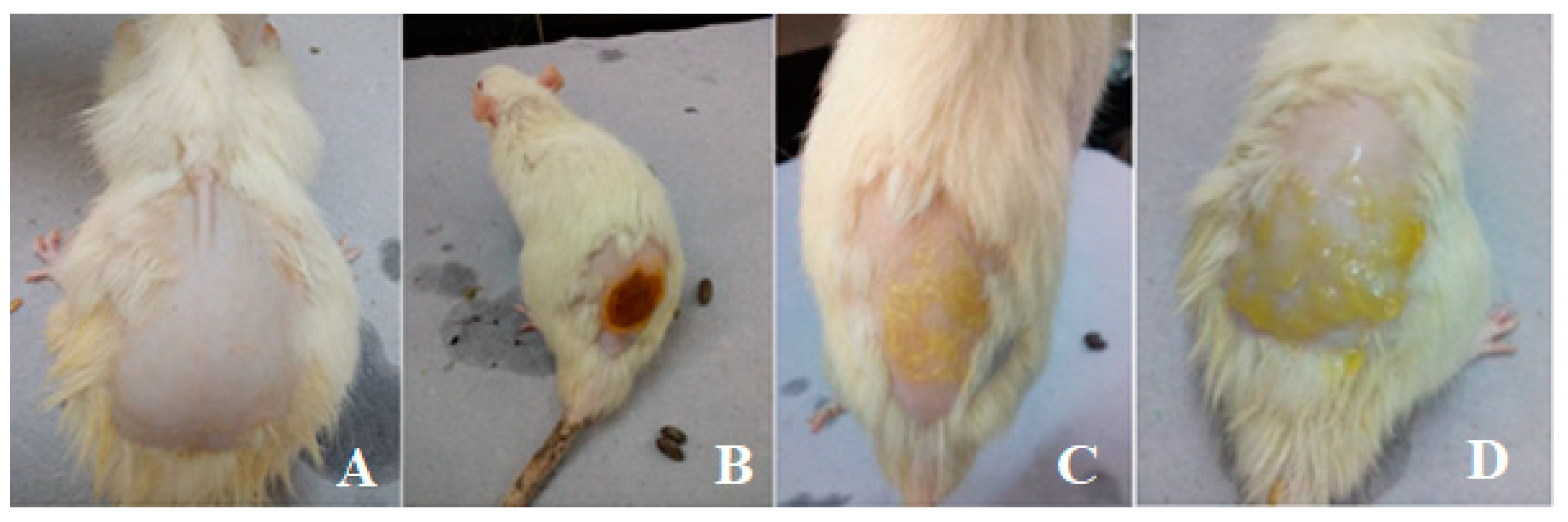 Crystals 12 01565 g008 Crystals 12 01565 g008