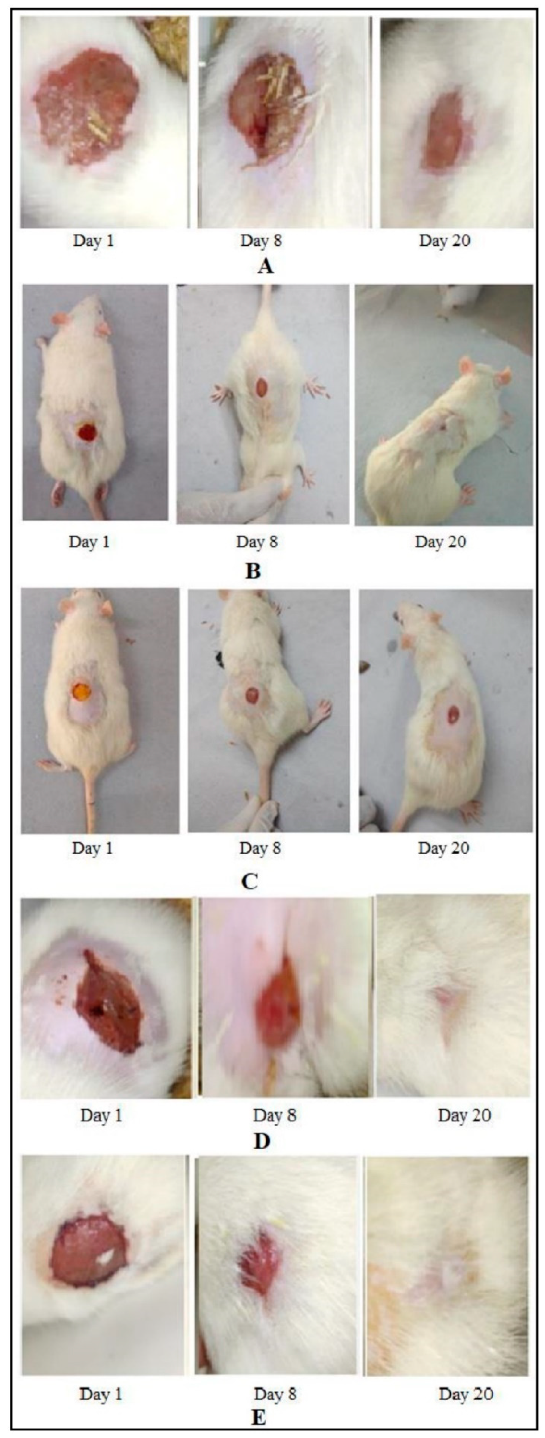 Crystals 12 01565 g009 Crystals 12 01565 g009