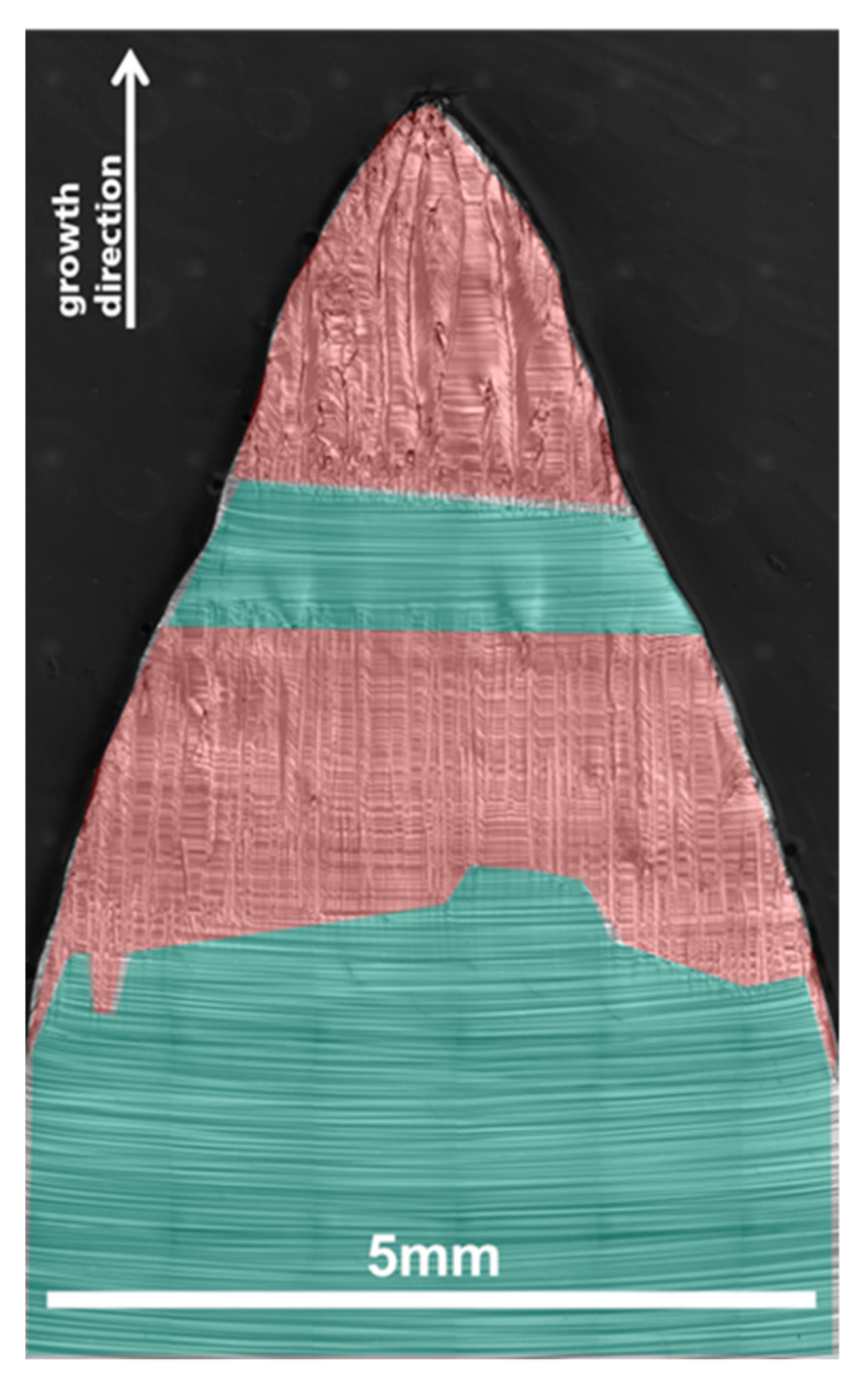 Crystals 12 01575 g010