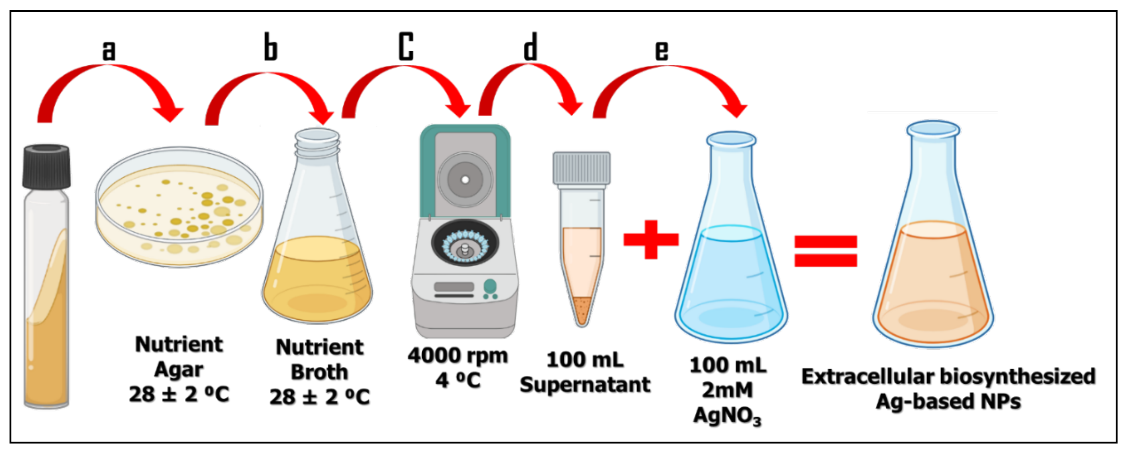 Crystals 12 01576 g001