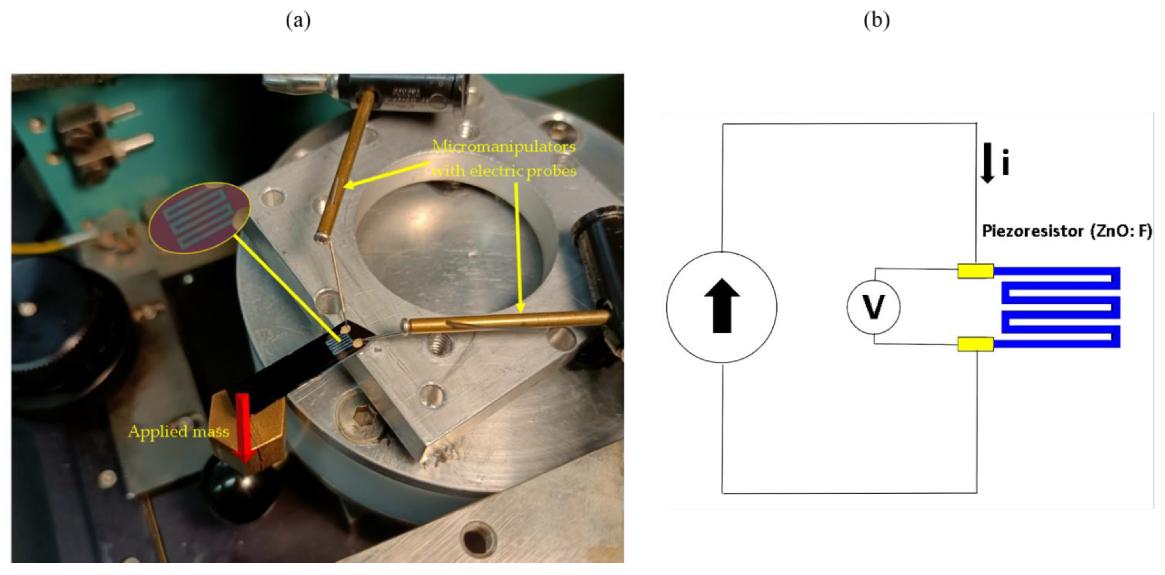 Crystals 12 01607 g003 Crystals 12 01607 g003