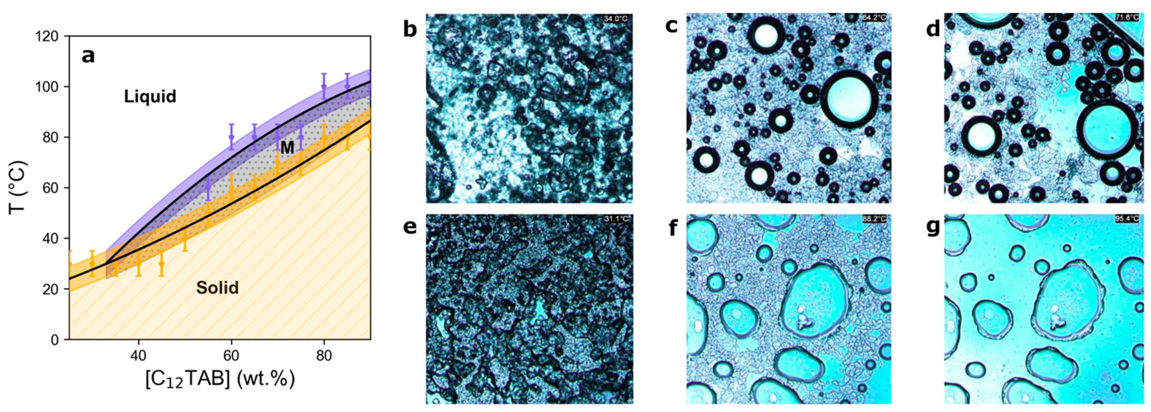 Crystals 12 01621 g002 Crystals 12 01621 g002
