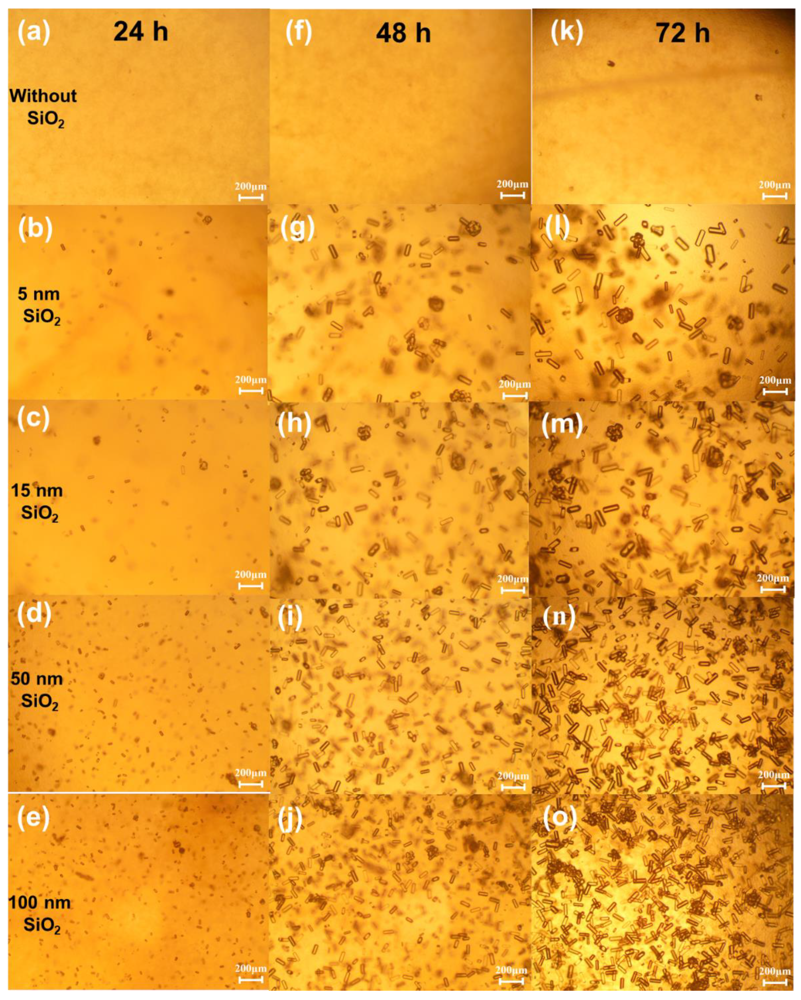 Crystals 12 01623 g003 Crystals 12 01623 g003