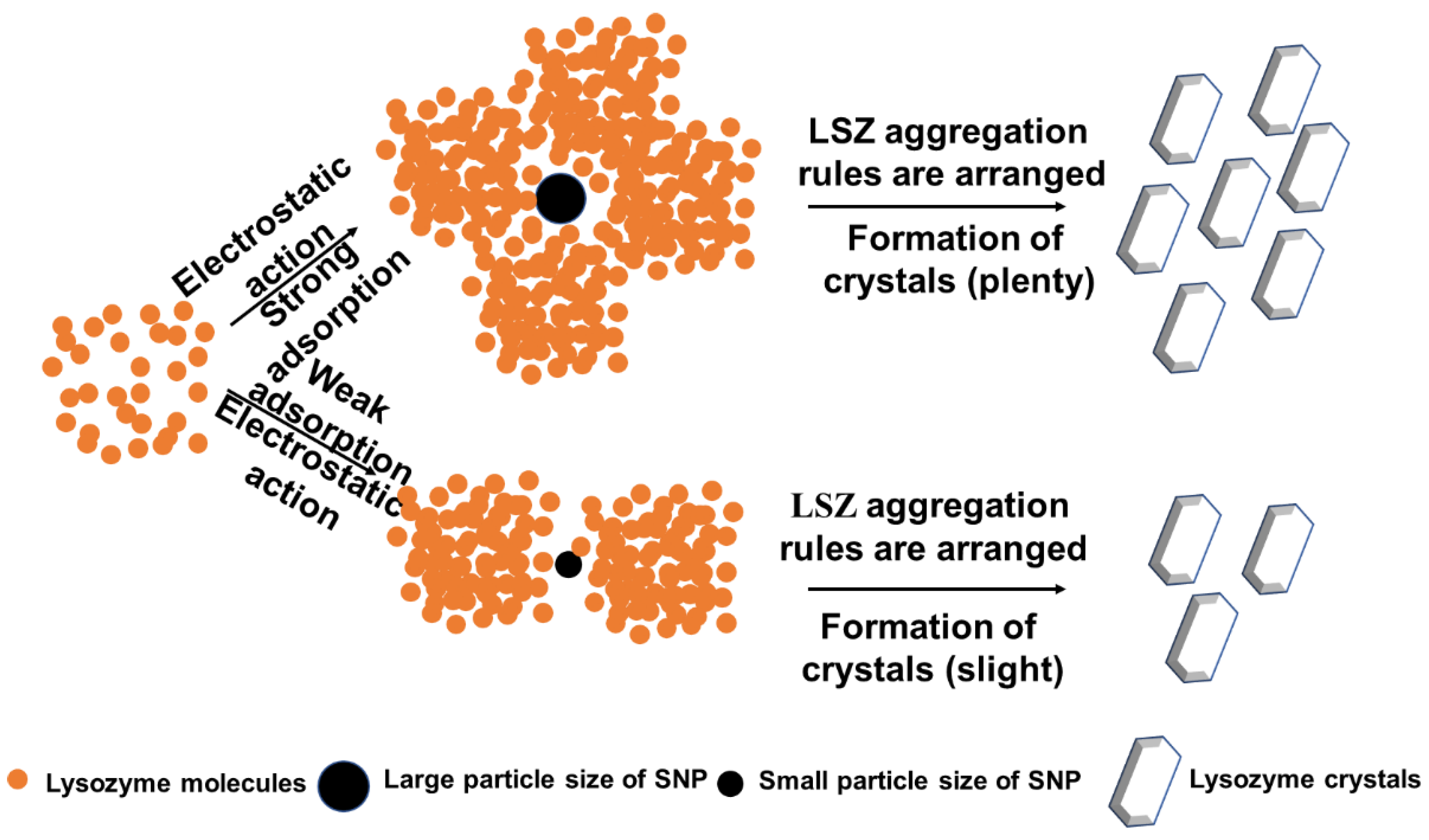 Crystals 12 01623 g008 Crystals 12 01623 g008