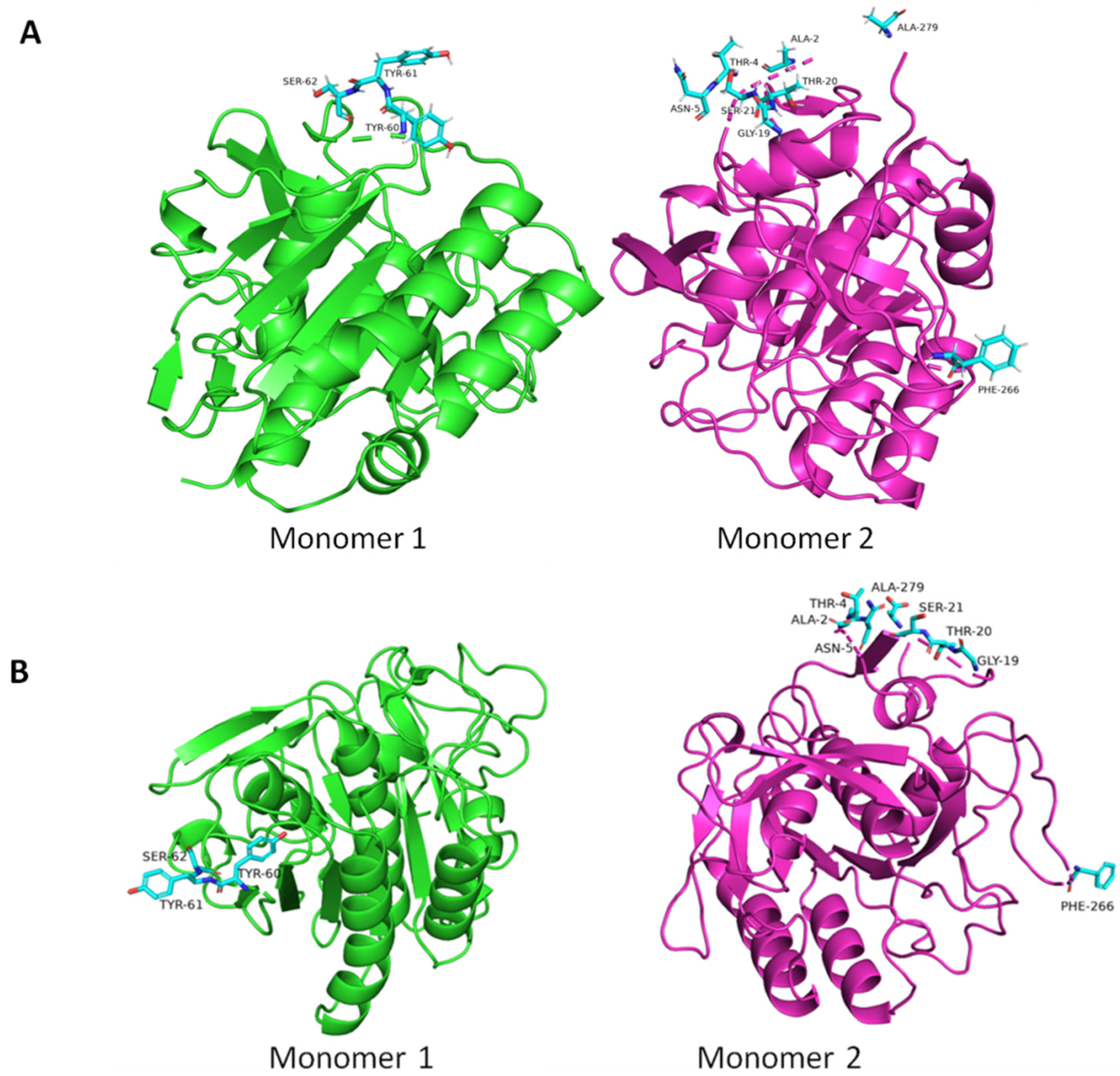 Crystals 12 01645 g002 Crystals 12 01645 g002