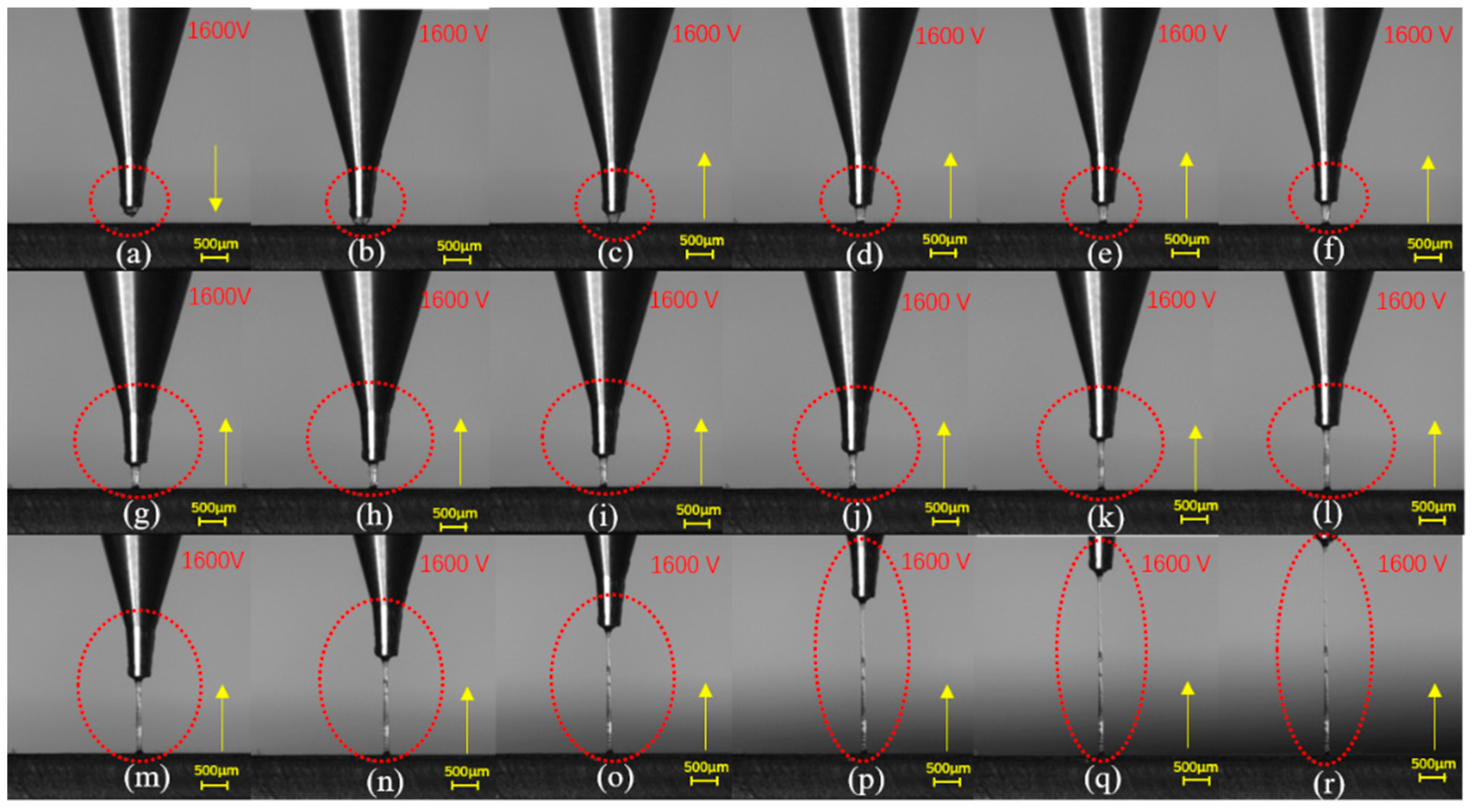 Crystals 12 01660 g005 Crystals 12 01660 g005