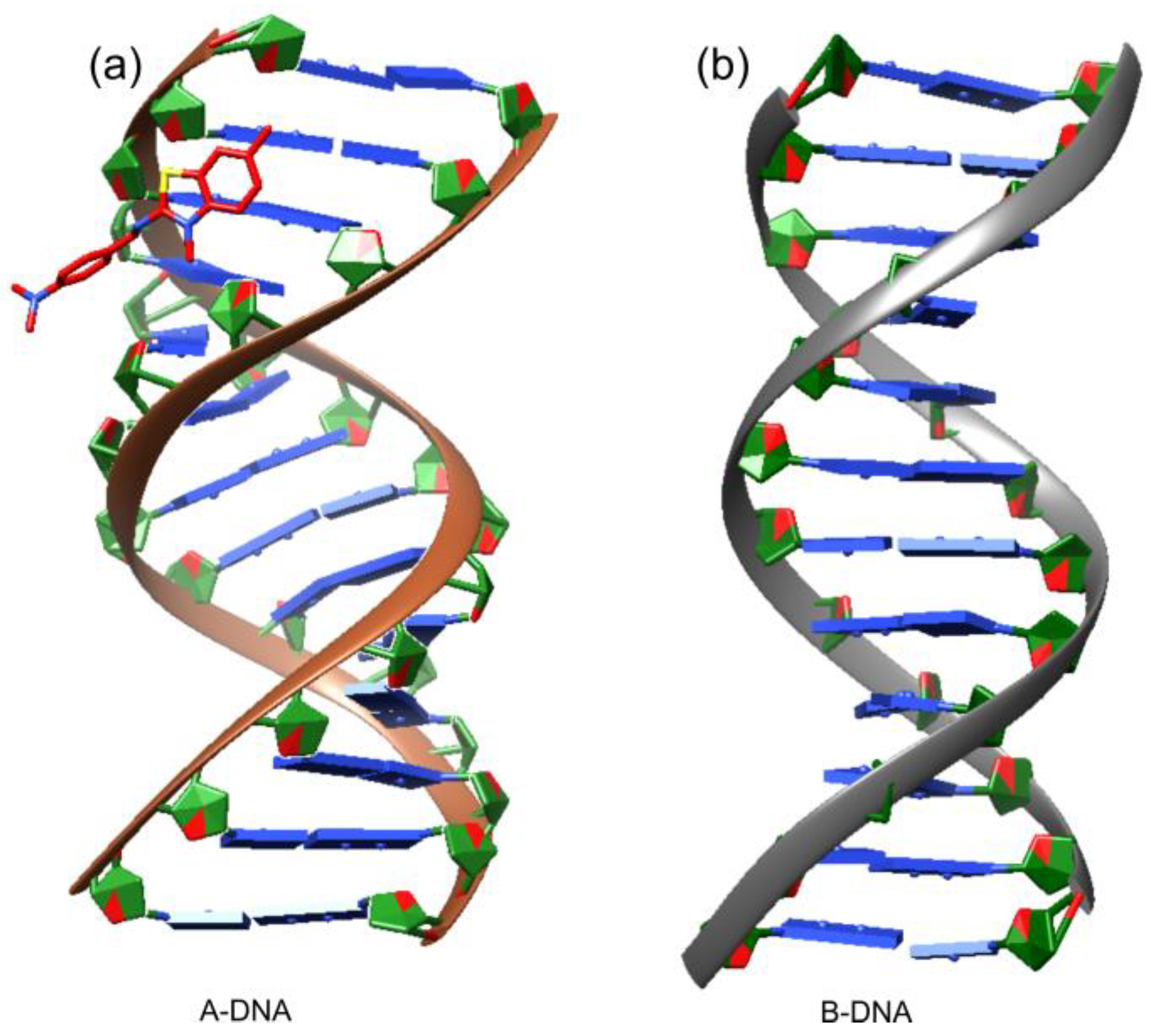 Crystals 12 01717 g006