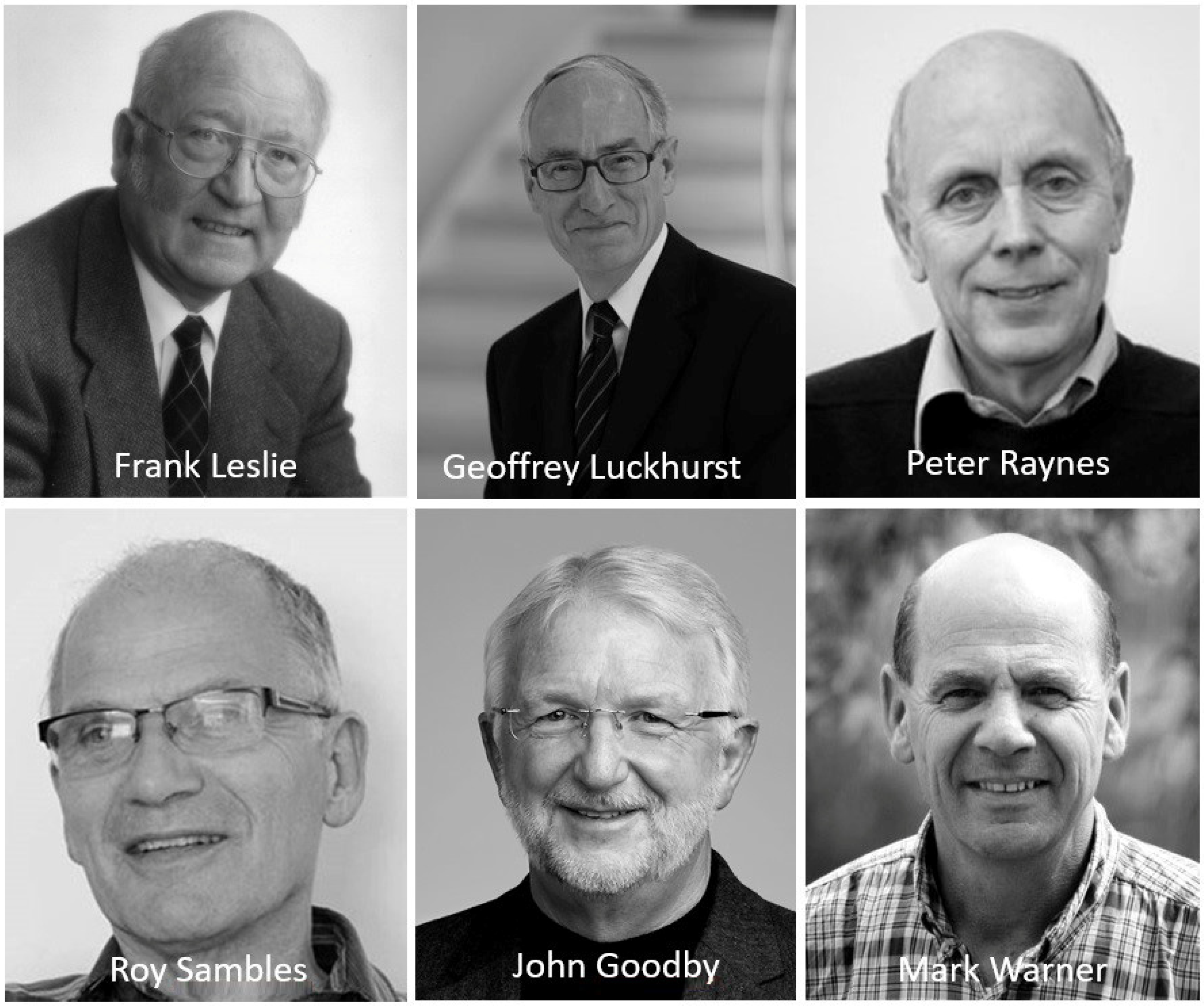 Crystals 12 01725 g007