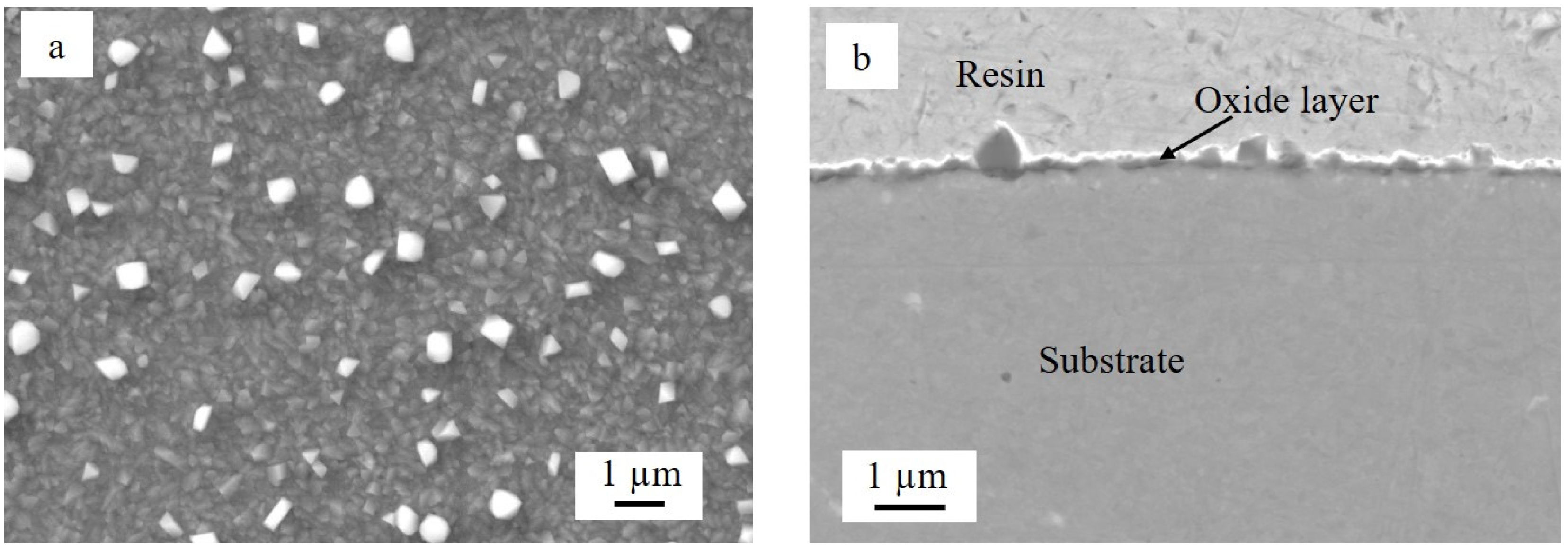 Crystals 12 01732 g008 Crystals 12 01732 g008