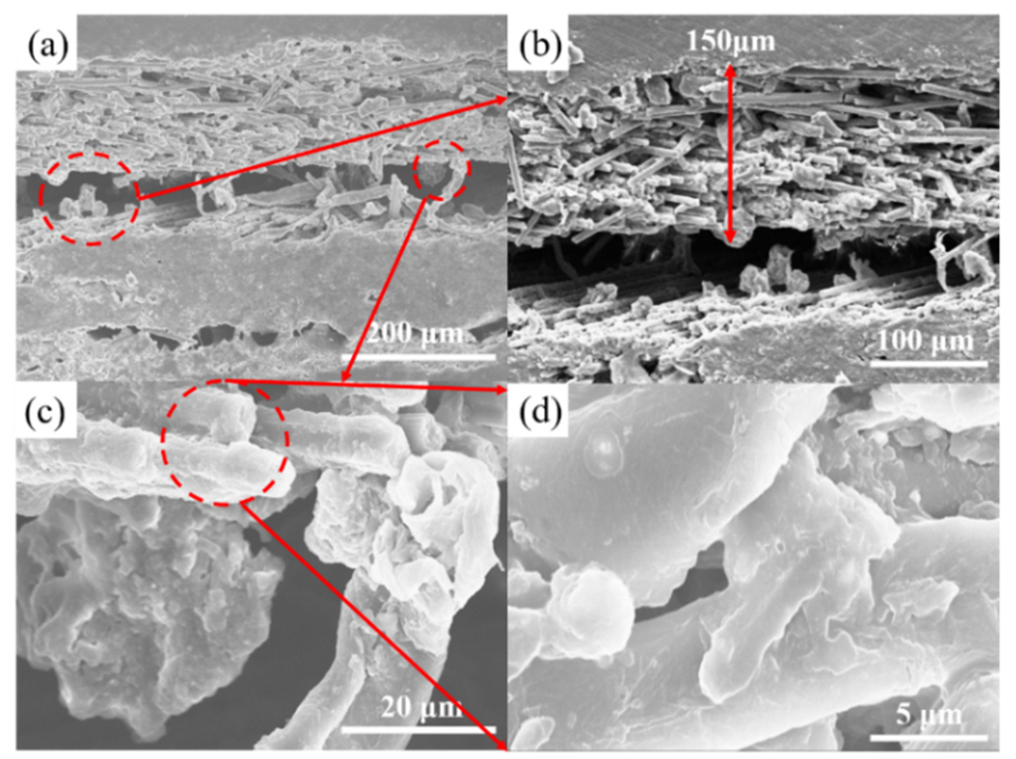 Crystals 12 01767 g005