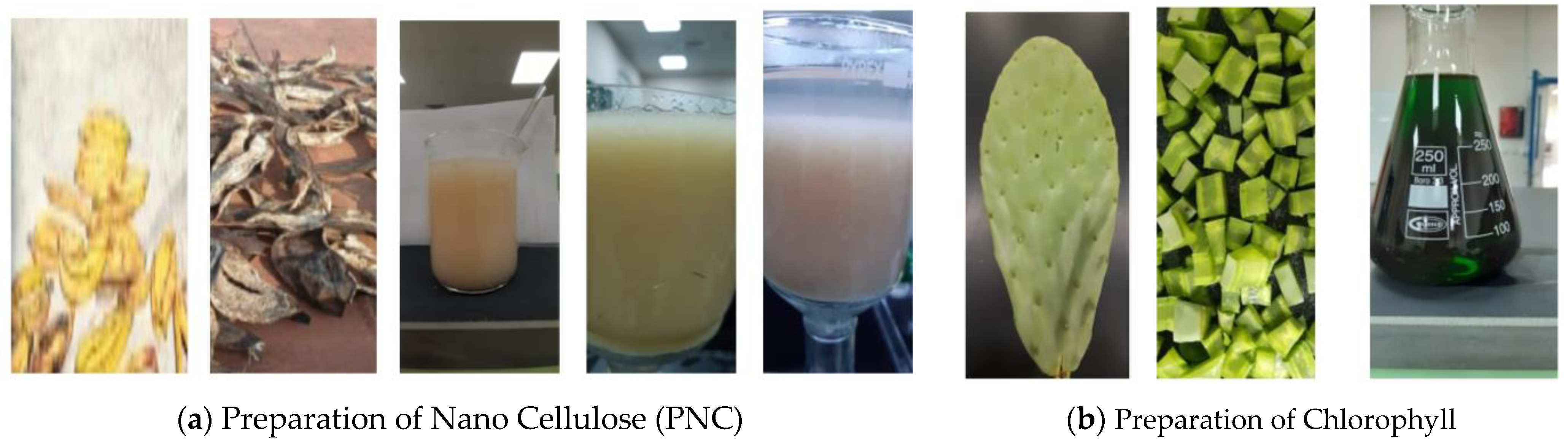 Crystals 12 01771 g001