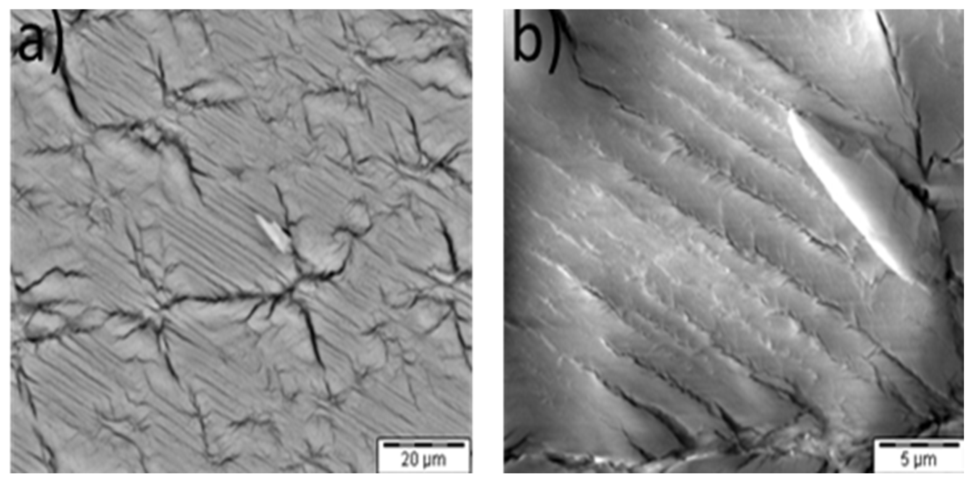 Crystals 12 01780 g005 550