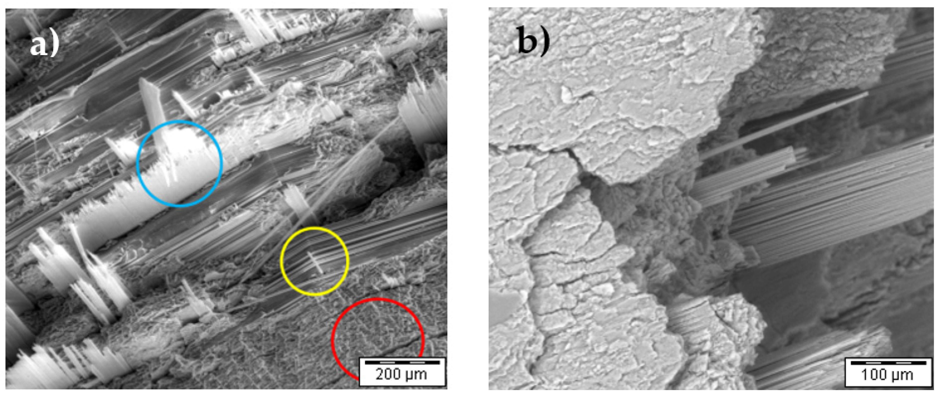 Crystals 12 01780 g009 550