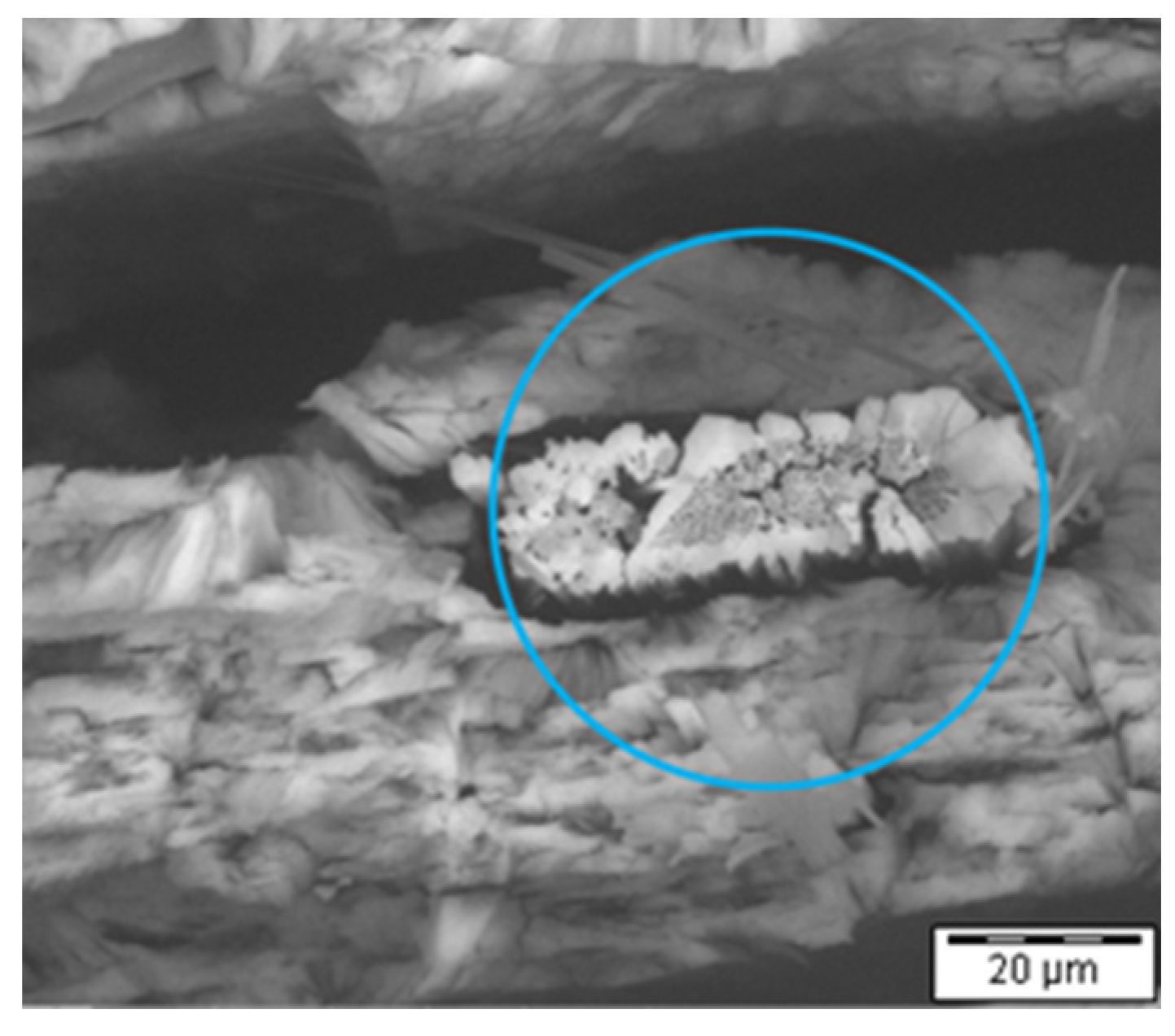 Crystals 12 01780 g010 550