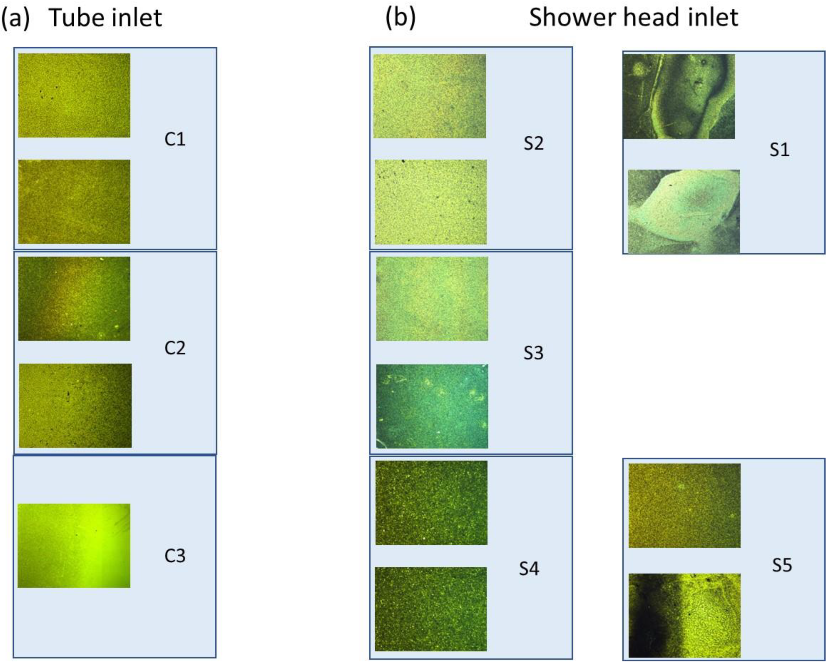Crystals 12 01790 g005