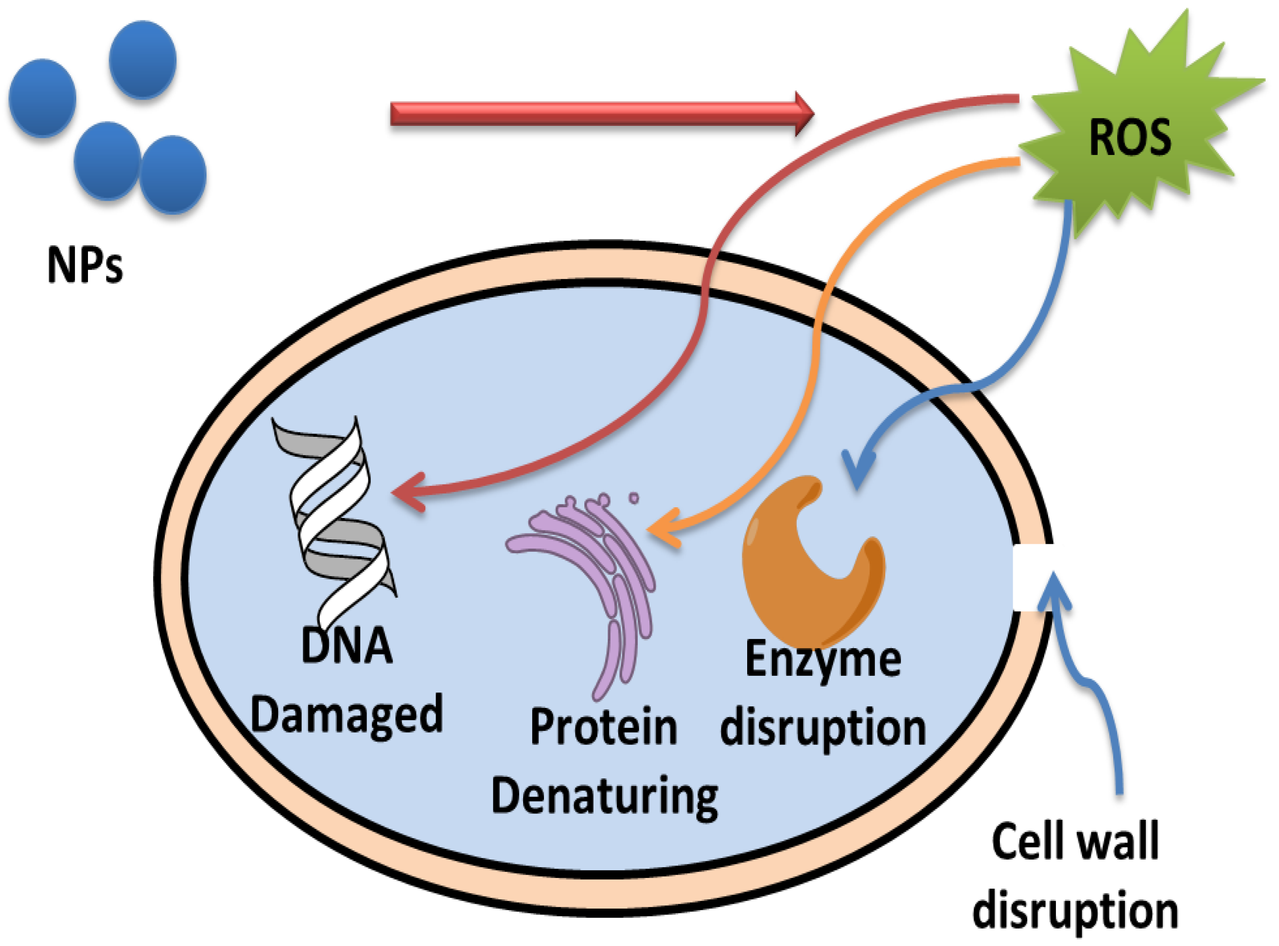 Crystals 12 01809 g006